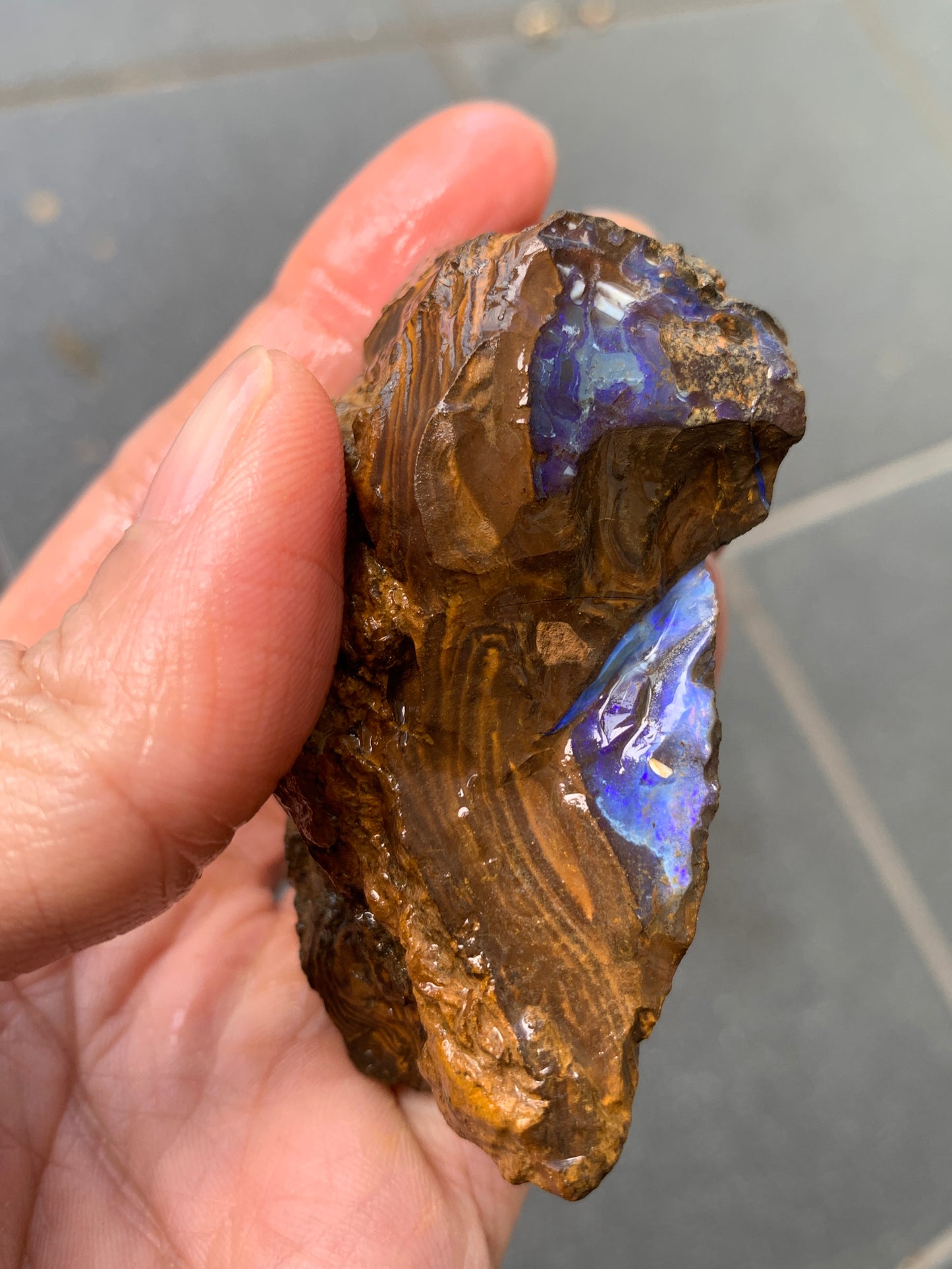 Practice Pair. Rough Boulder Opal Rocks. 355 Grams.