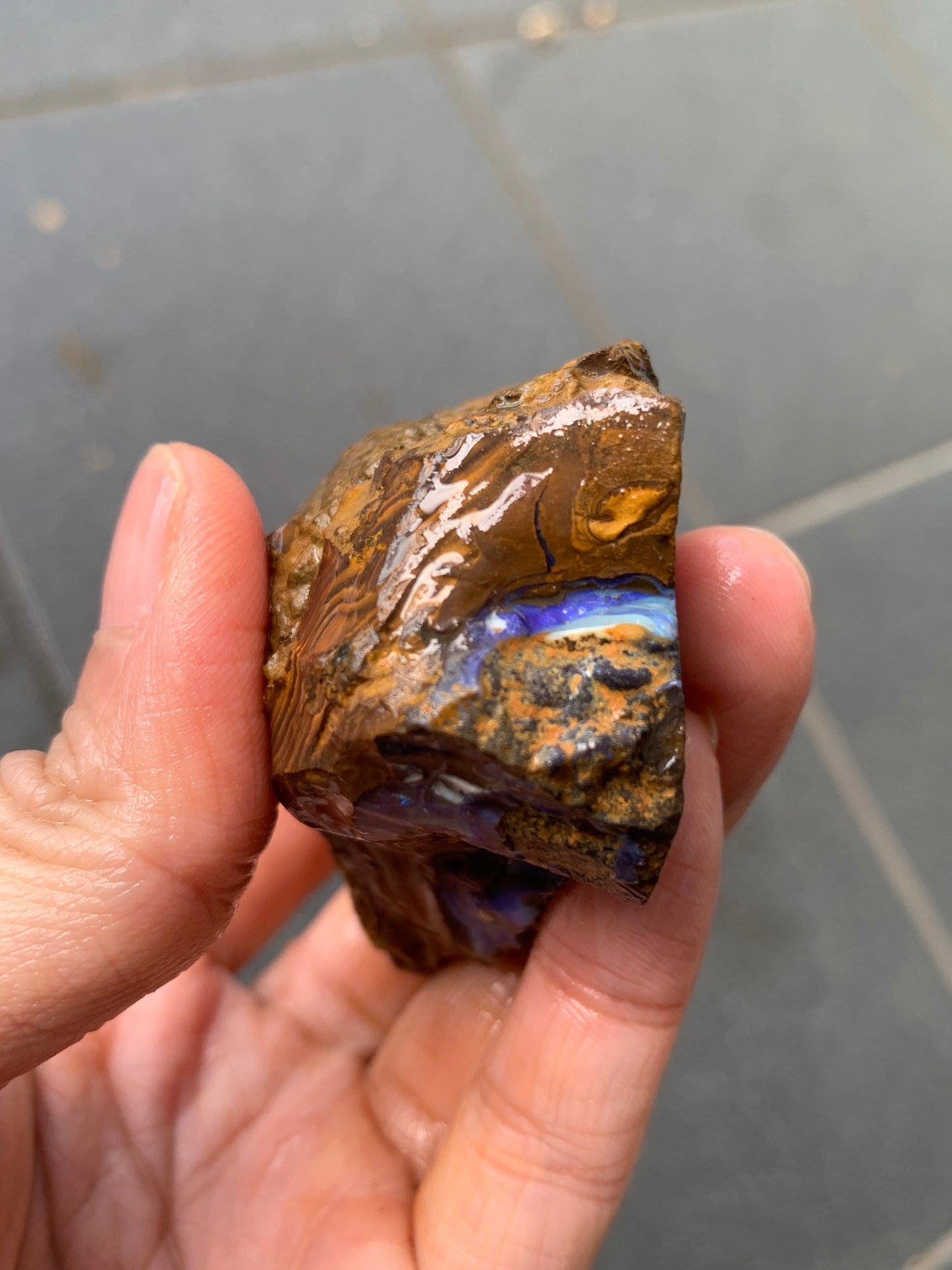 Practice Pair. Rough Boulder Opal Rocks. 355 Grams.