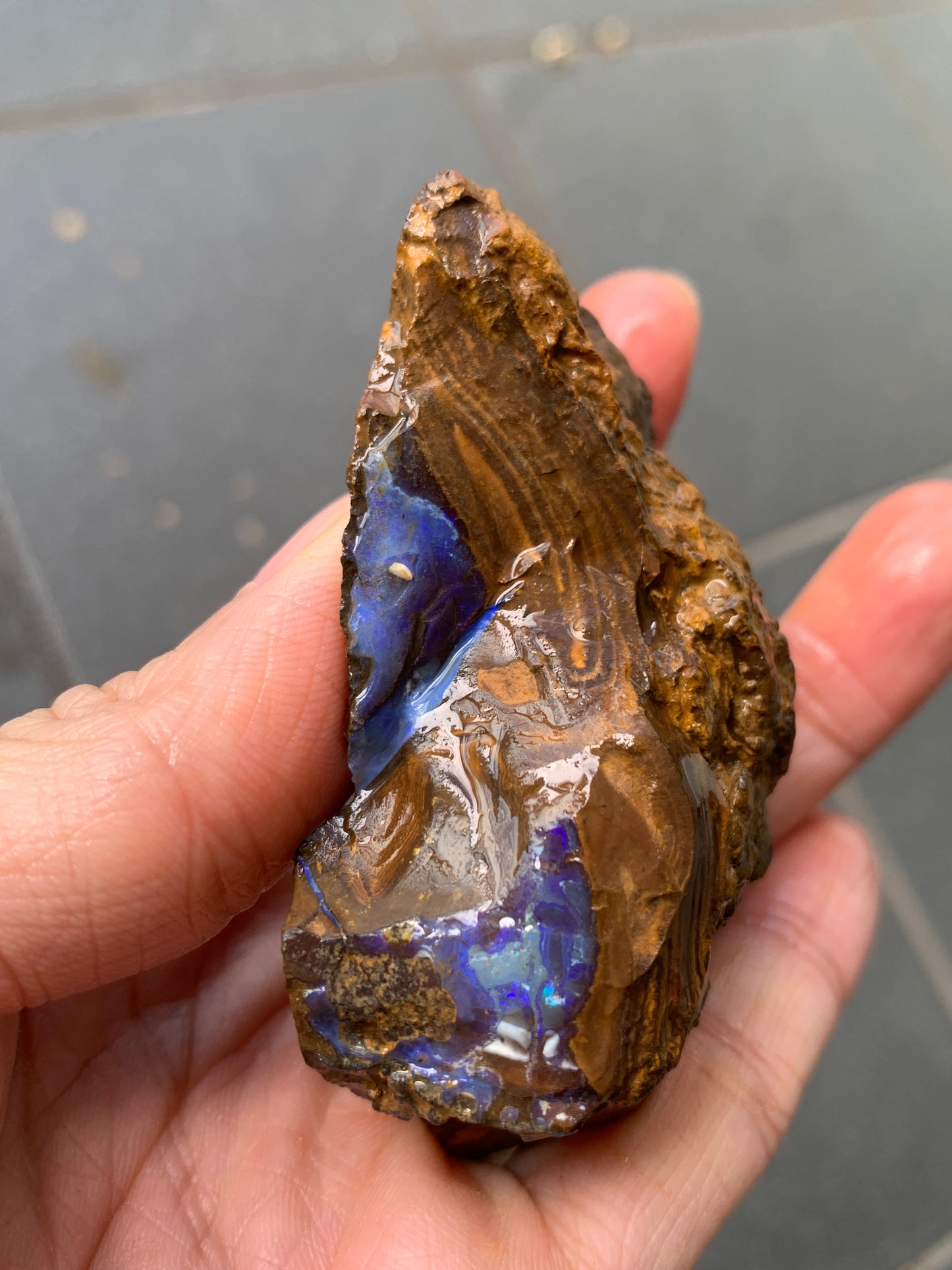 Practice Pair. Rough Boulder Opal Rocks. 355 Grams.