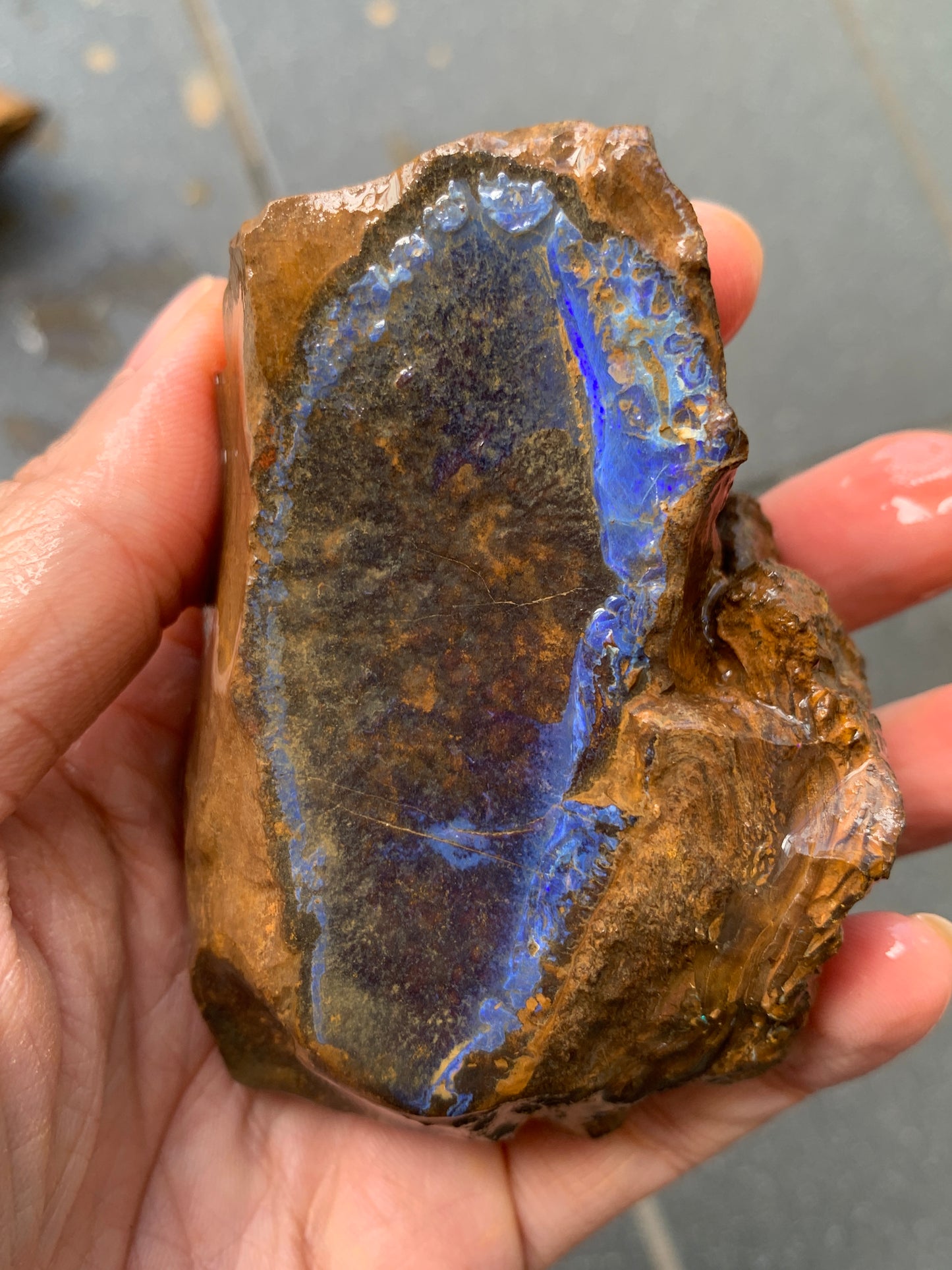 Practice Pair. Rough Boulder Opal Rocks. 355 Grams.