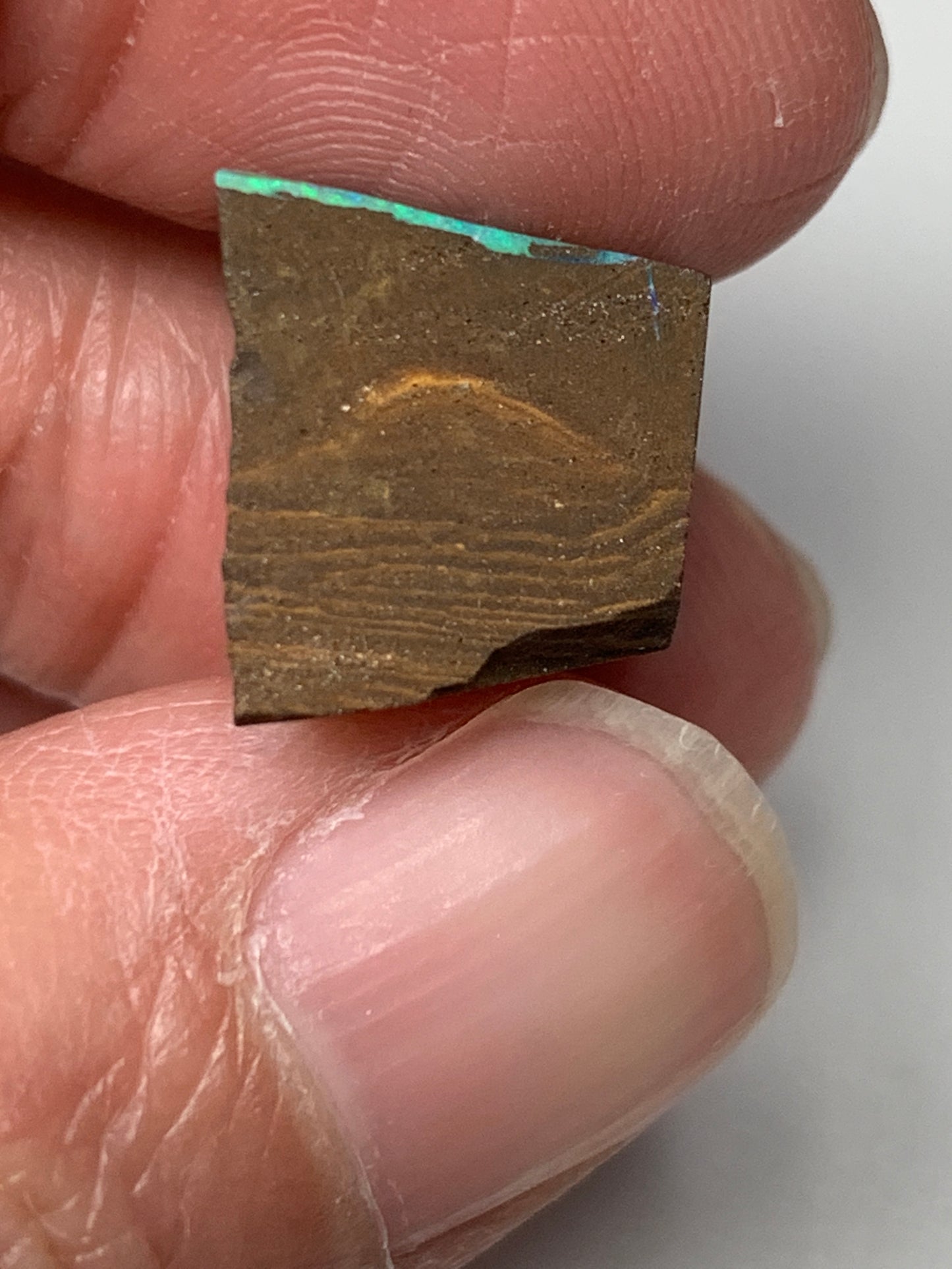 Boulder Opal Single Split Rub. 3.4 Grams