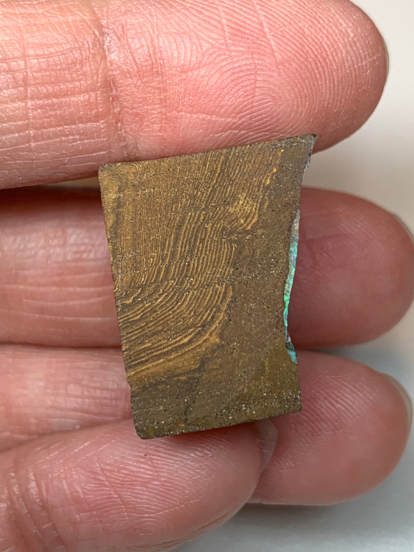 Boulder Opal Split Pair Rubs. 17.2 Grams