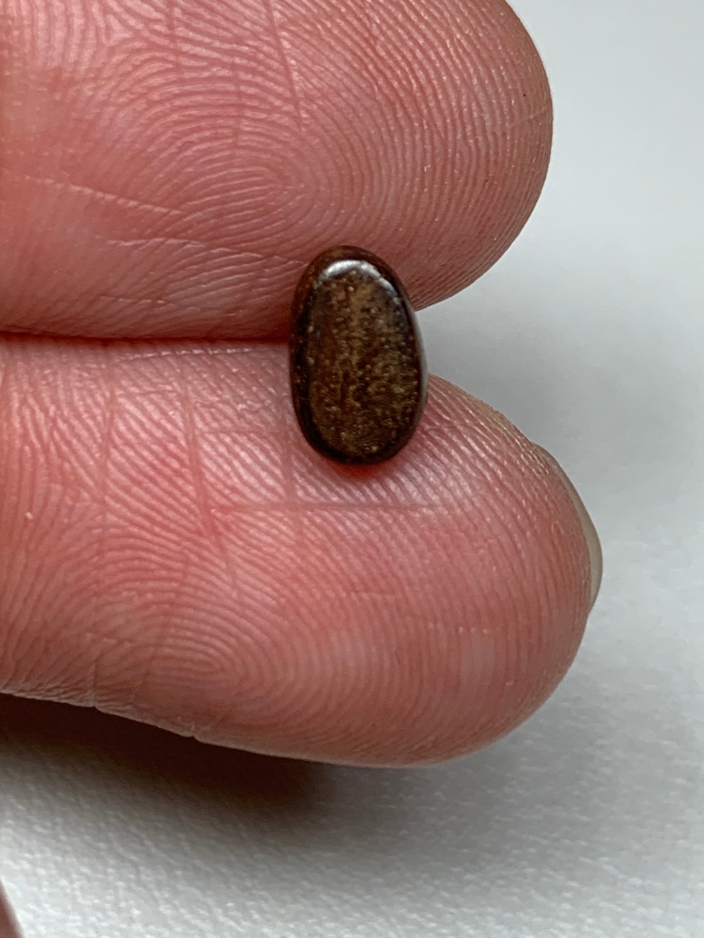 Flashy Red. Solid Boulder Opal. 0.81 Ct