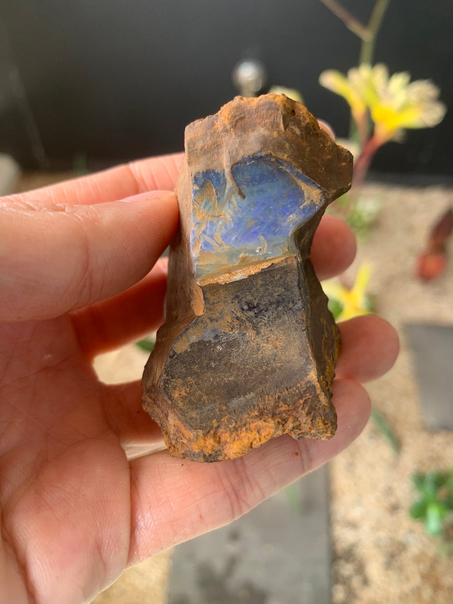 Plenty of Colour. Rough Boulder Opal. 110 Grams
