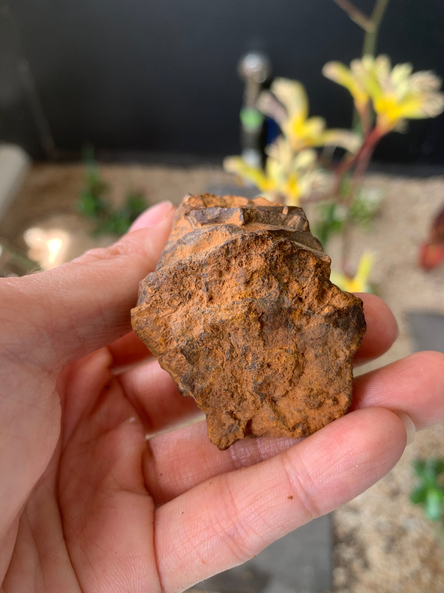 Plenty of Colour. Rough Boulder Opal. 110 Grams