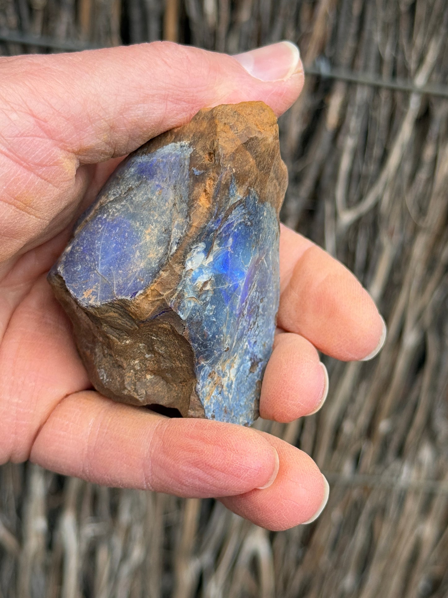 Glowing Double. Rough Boulder Opal Rock. 247 Grams