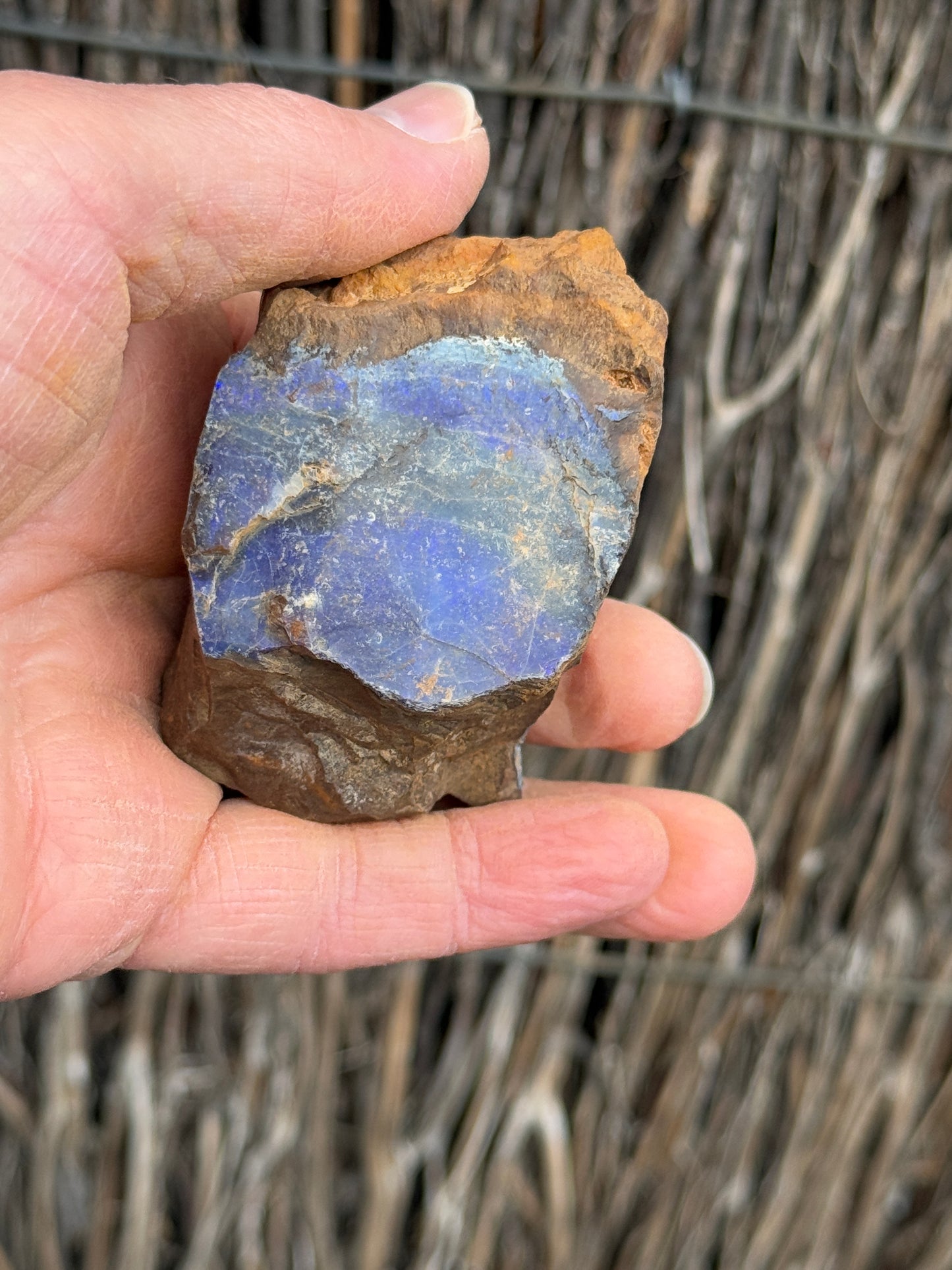Glowing Double. Rough Boulder Opal Rock. 247 Grams