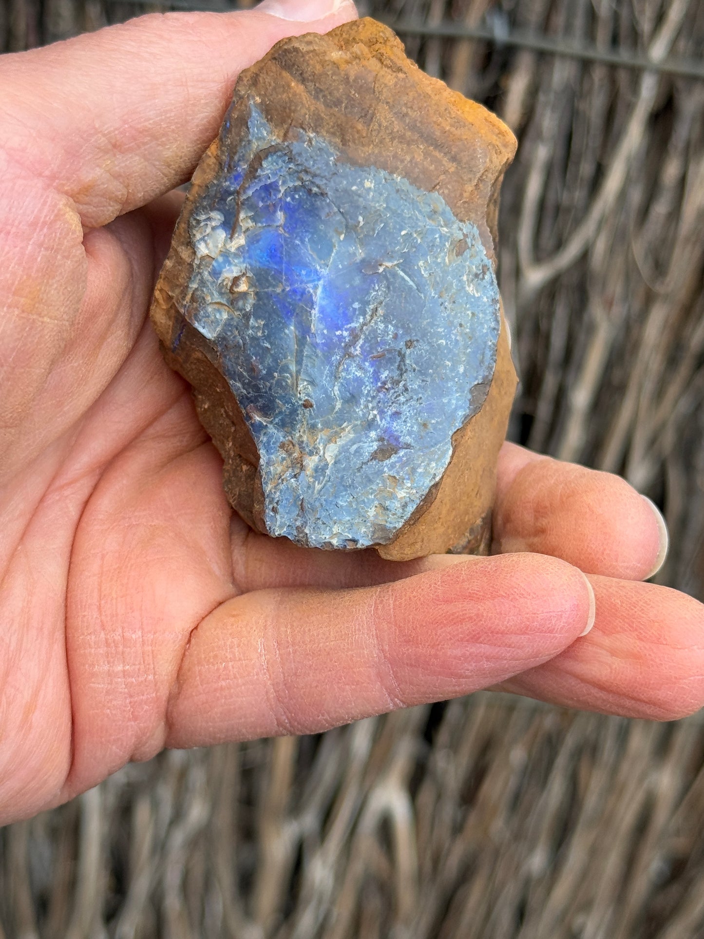 Glowing Double. Rough Boulder Opal Rock. 247 Grams