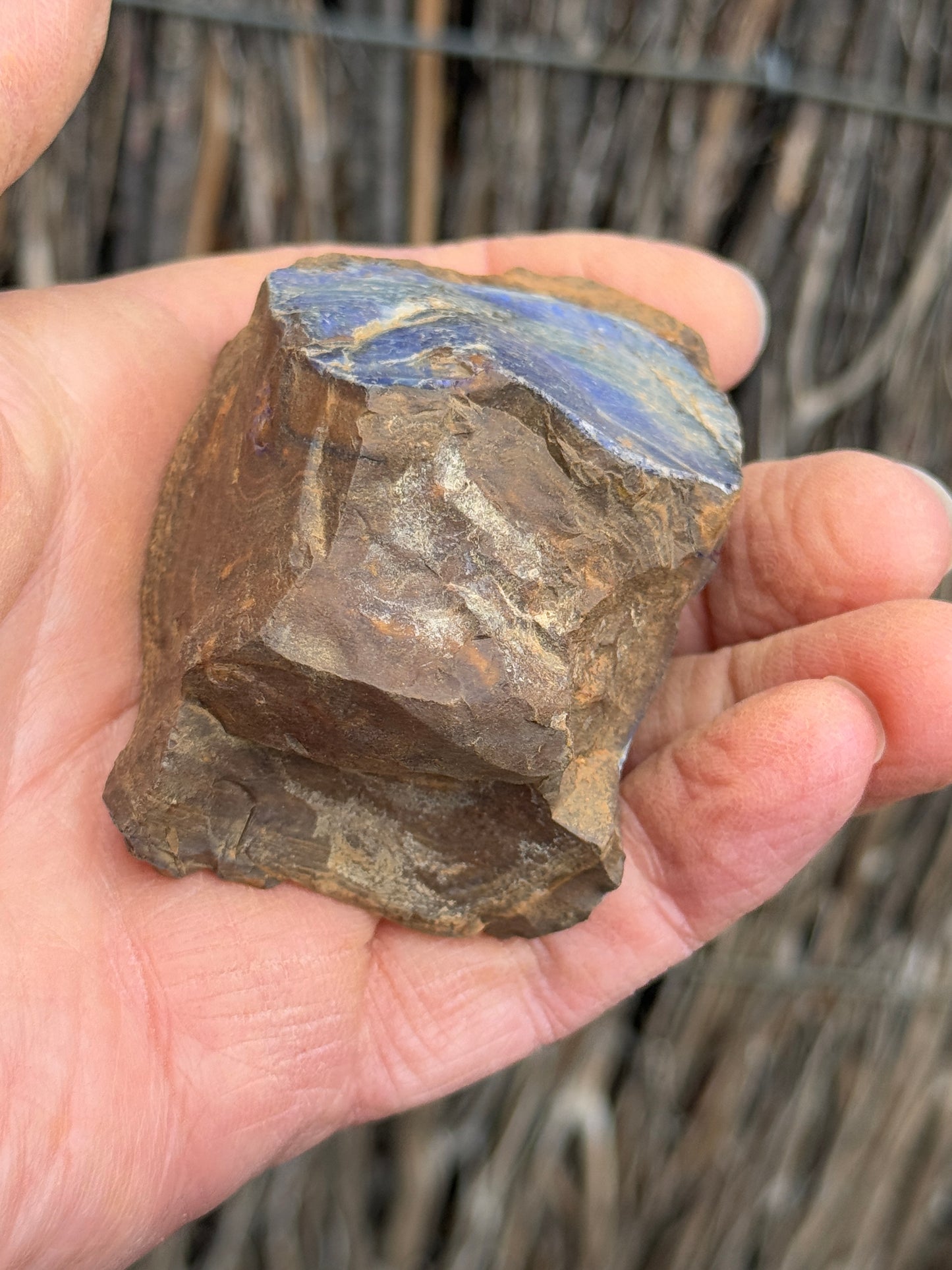 Glowing Double. Rough Boulder Opal Rock. 247 Grams