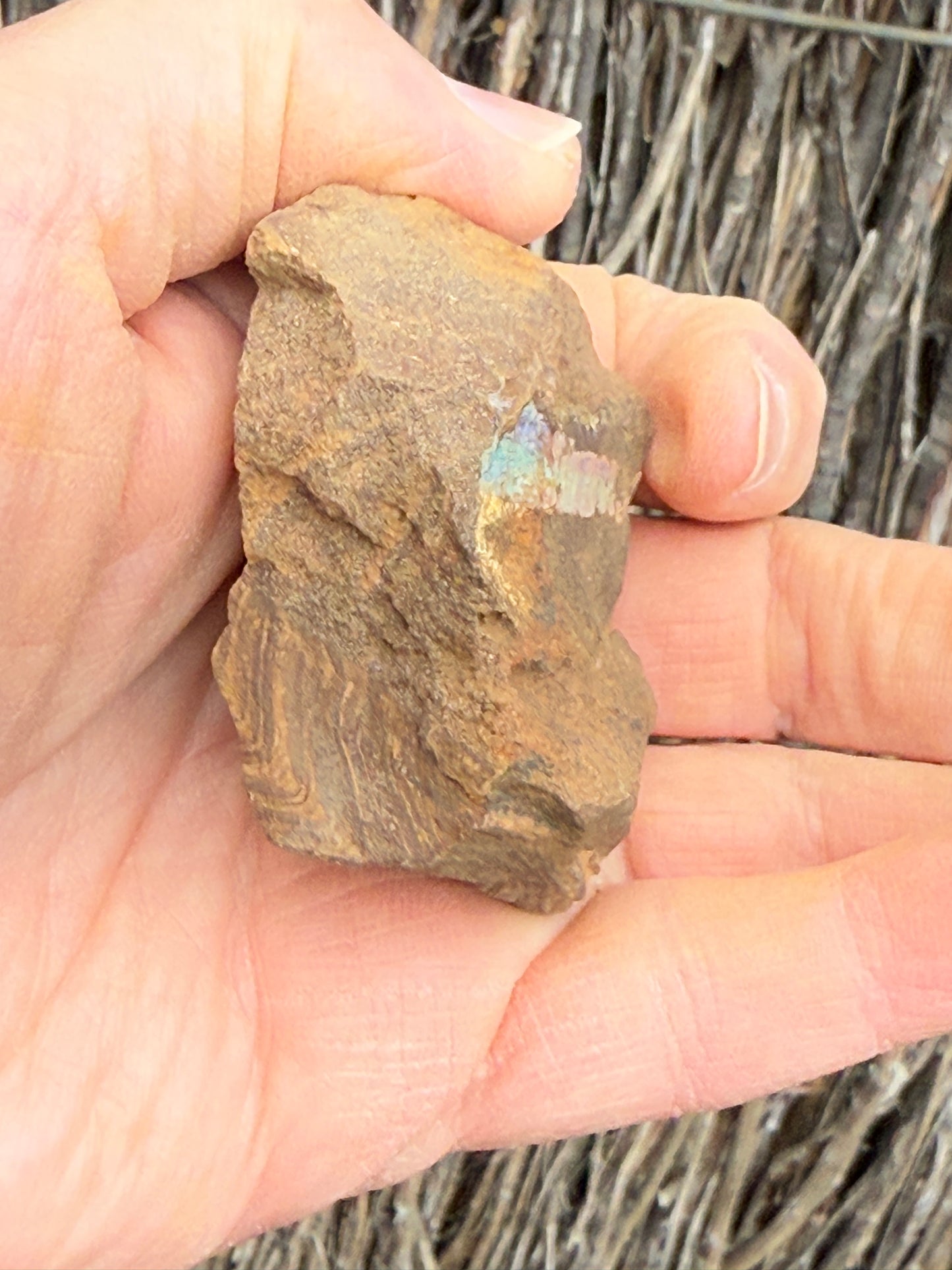 Rainbow Streak. Rough Boulder Opal Rock. 88 Grams