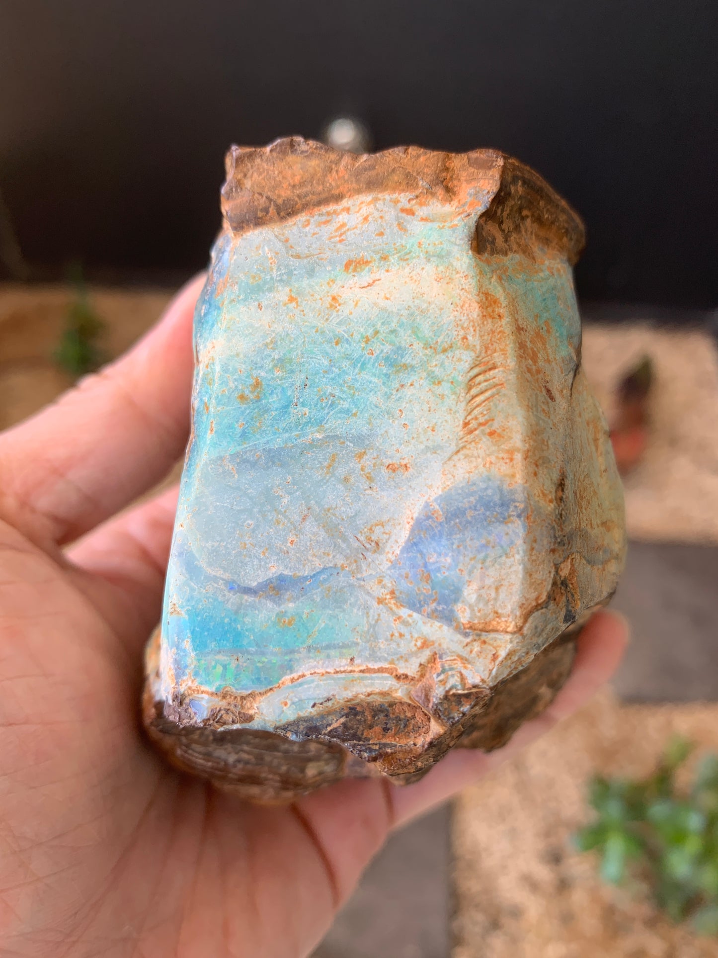 Gemstone Brilliance. Rough Boulder Opal Rock. 600 Grams