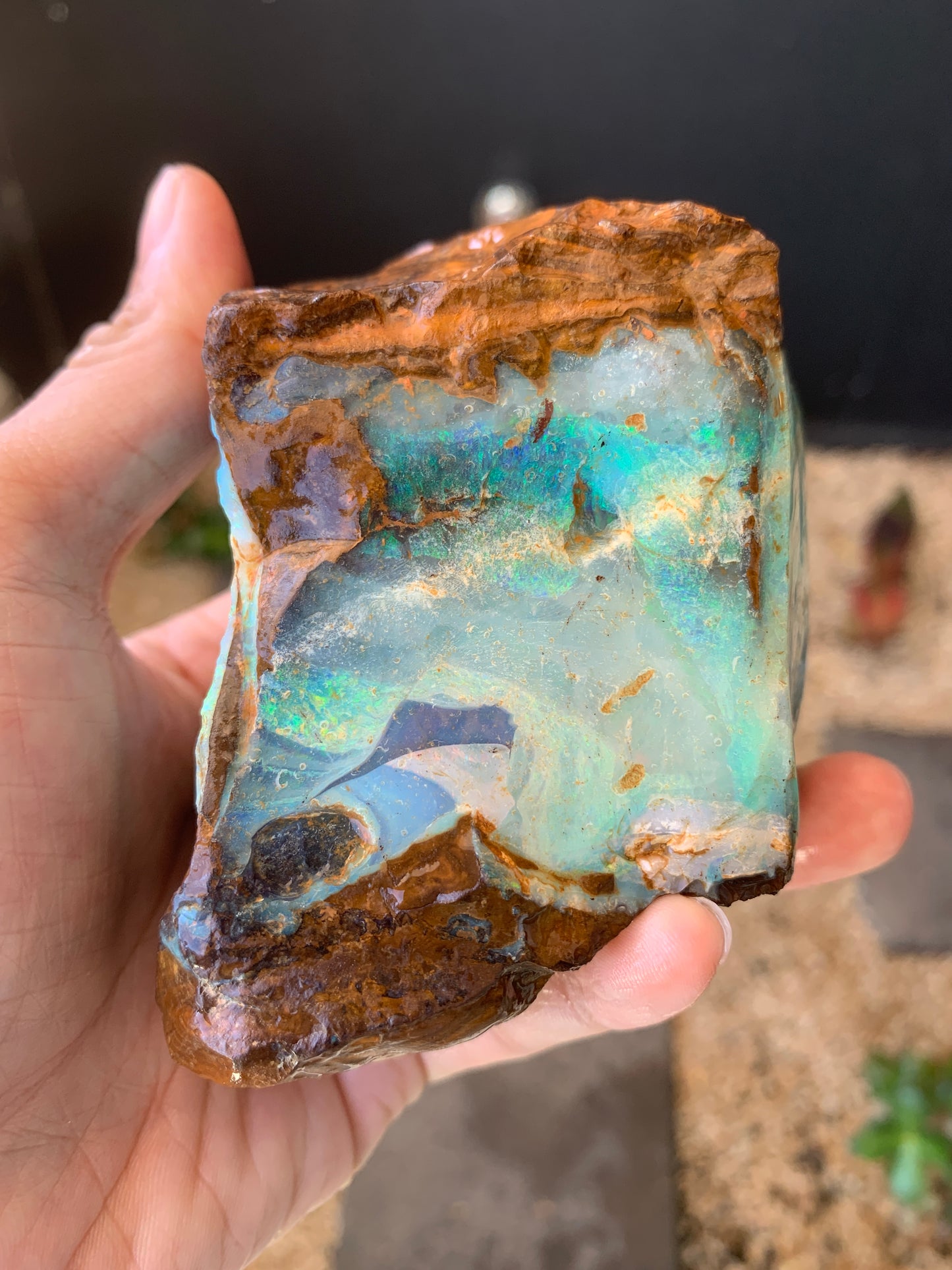 Gemstone Brilliance. Rough Boulder Opal Rock. 600 Grams