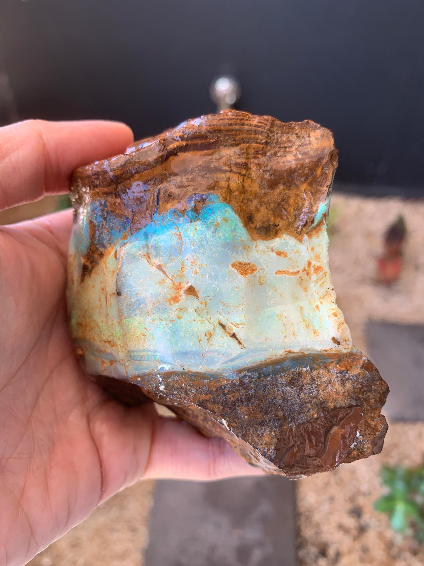 Gemstone Brilliance. Rough Boulder Opal Rock. 600 Grams