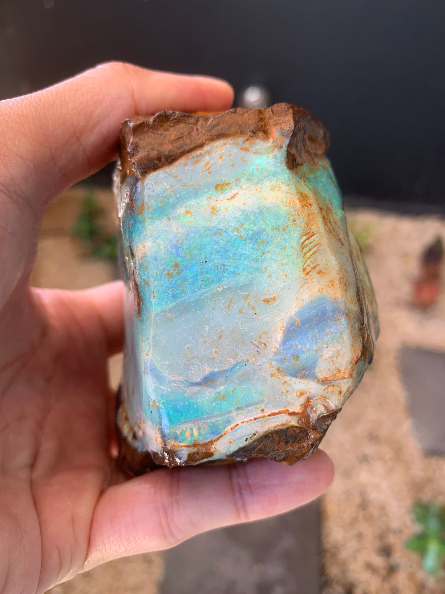 Gemstone Brilliance. Rough Boulder Opal Rock. 600 Grams