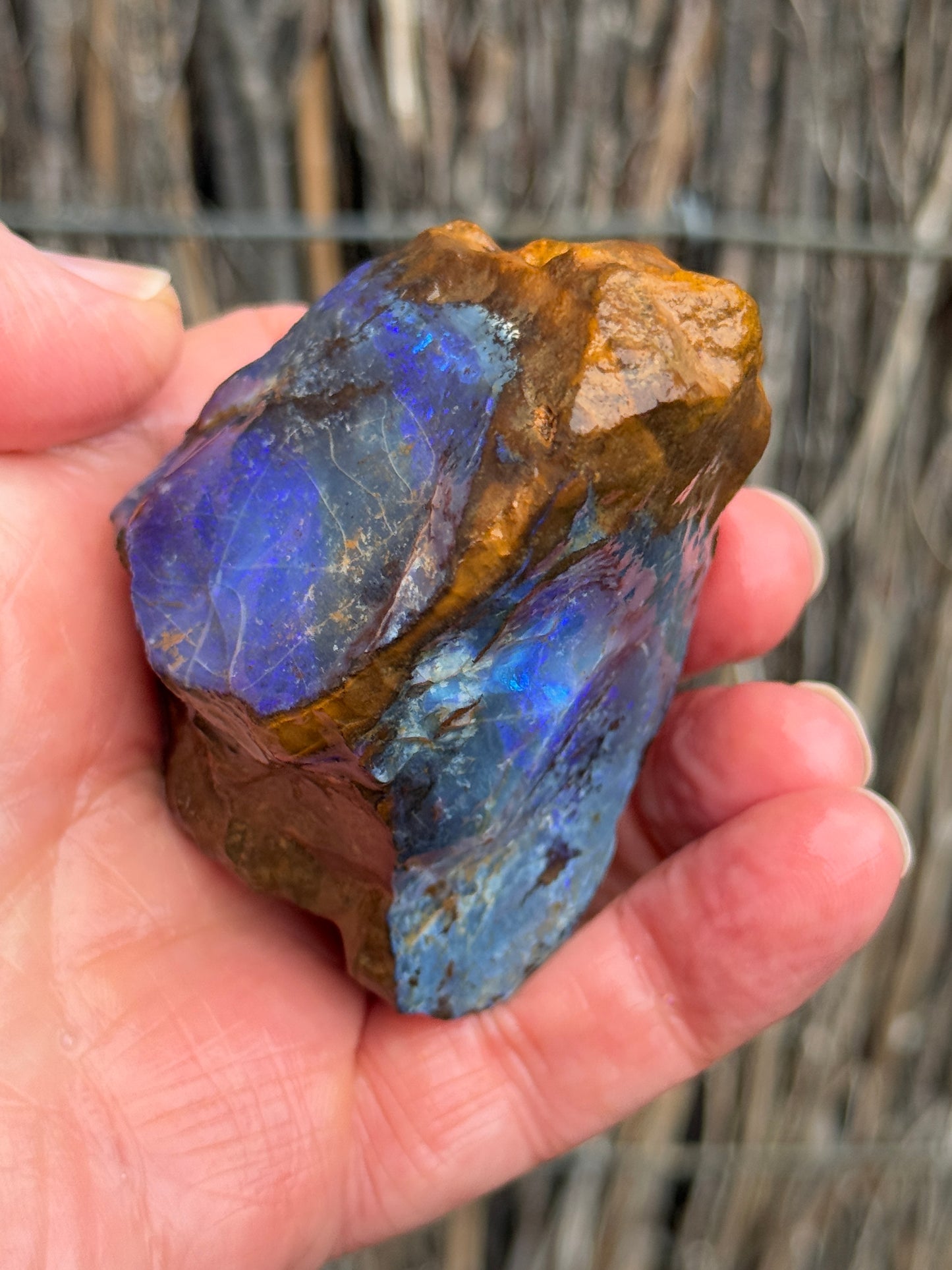 Glowing Double. Rough Boulder Opal Rock. 247 Grams