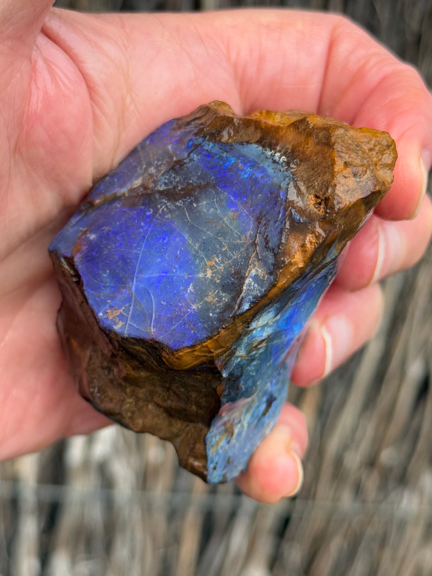Glowing Double. Rough Boulder Opal Rock. 247 Grams