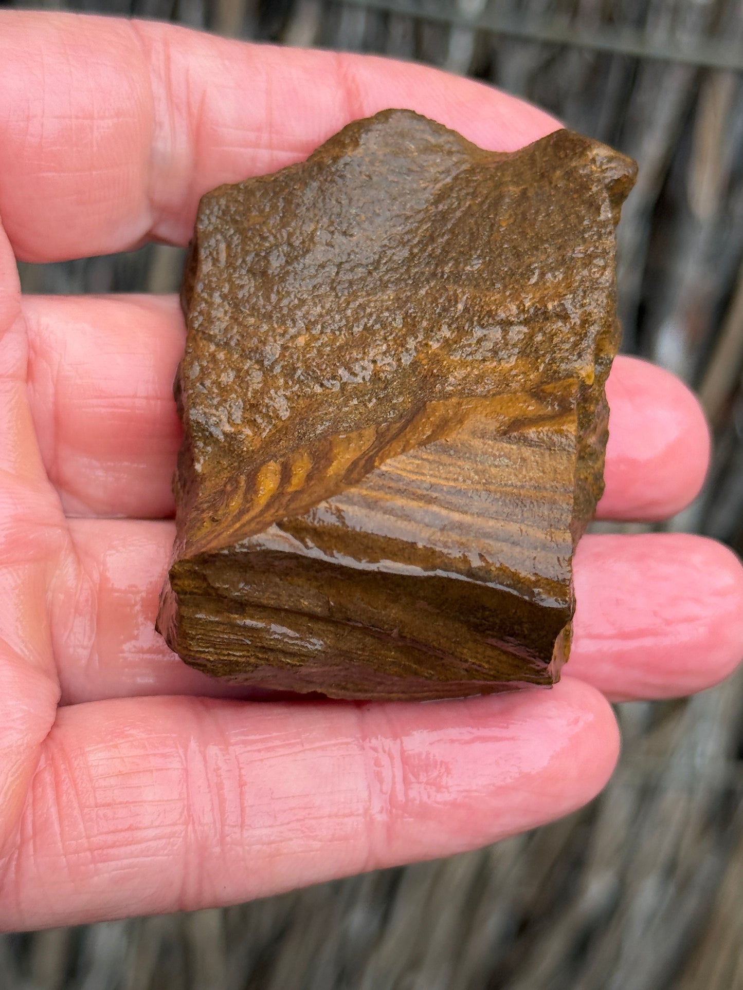 Rainbow Streak. Rough Boulder Opal Rock. 88 Grams