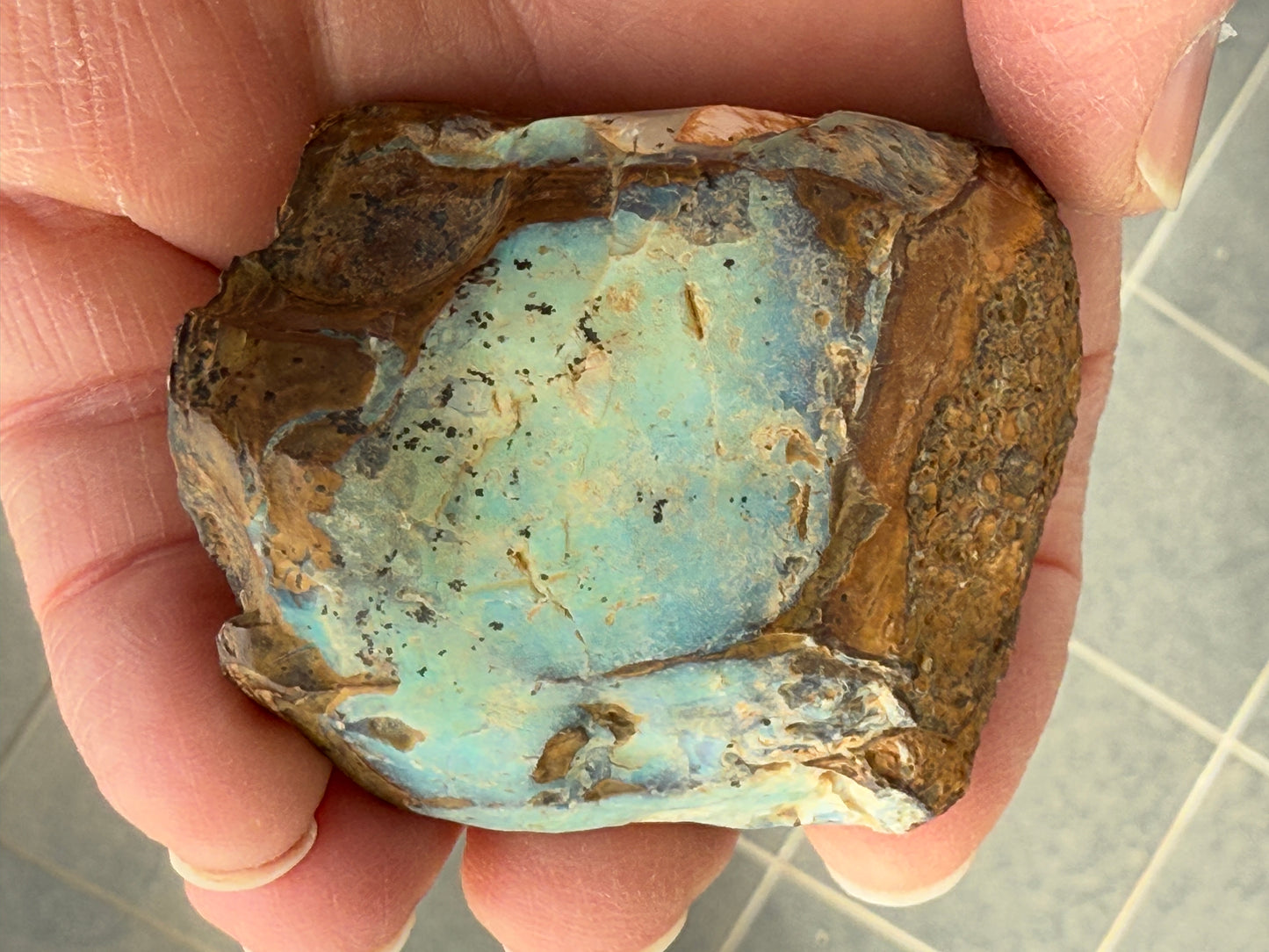 Gemstone Prize. Rough Boulder Opal Rock. 231 Grams