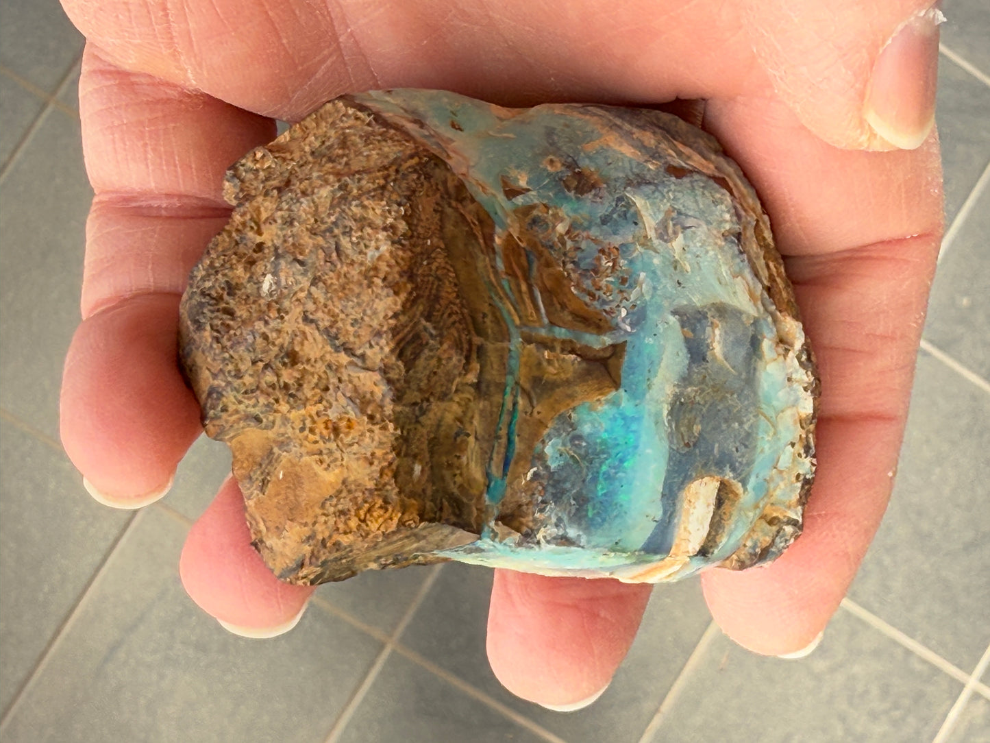 Gemstone Prize. Rough Boulder Opal Rock. 231 Grams