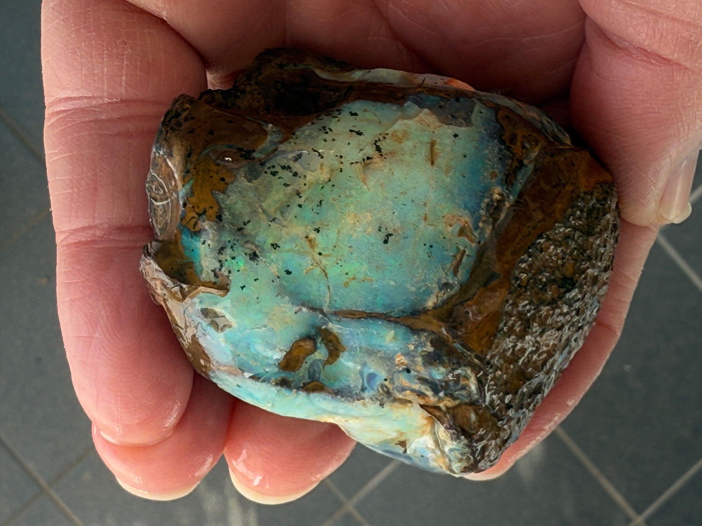 Gemstone Prize. Rough Boulder Opal Rock. 231 Grams
