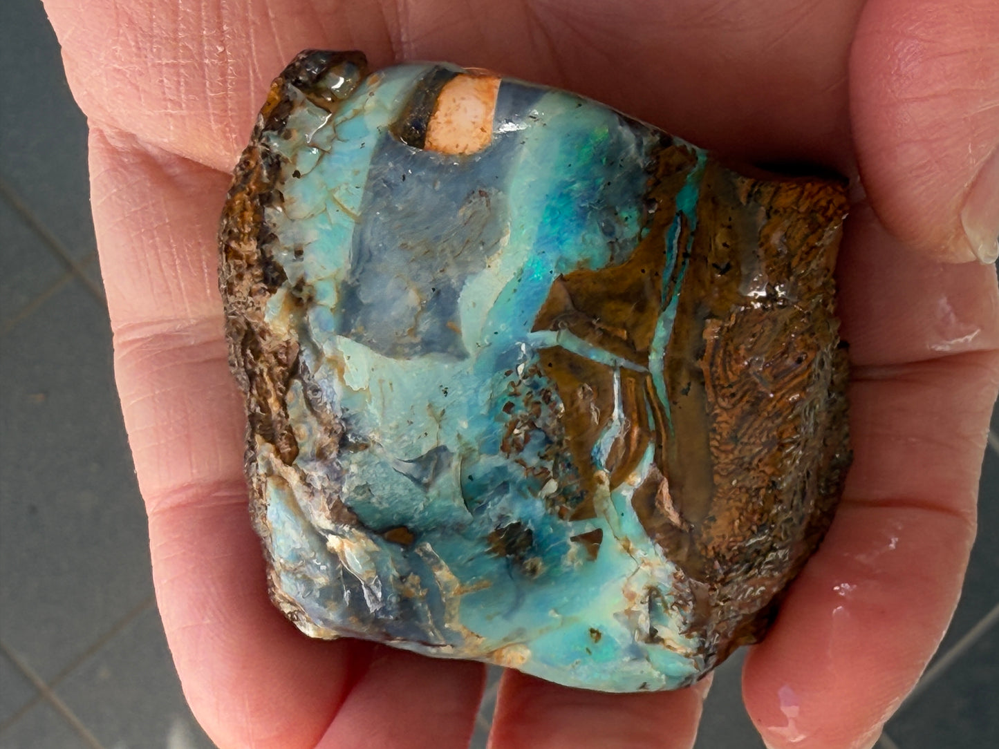 Gemstone Prize. Rough Boulder Opal Rock. 231 Grams