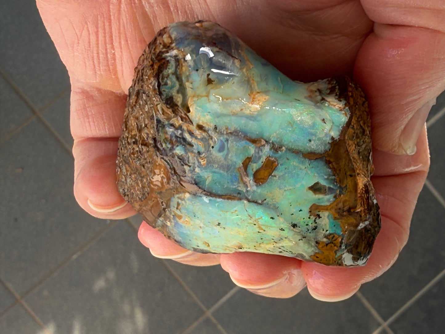 Gemstone Prize. Rough Boulder Opal Rock. 231 Grams