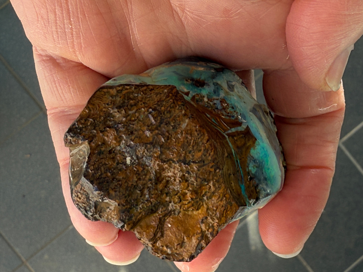 Gemstone Prize. Rough Boulder Opal Rock. 231 Grams