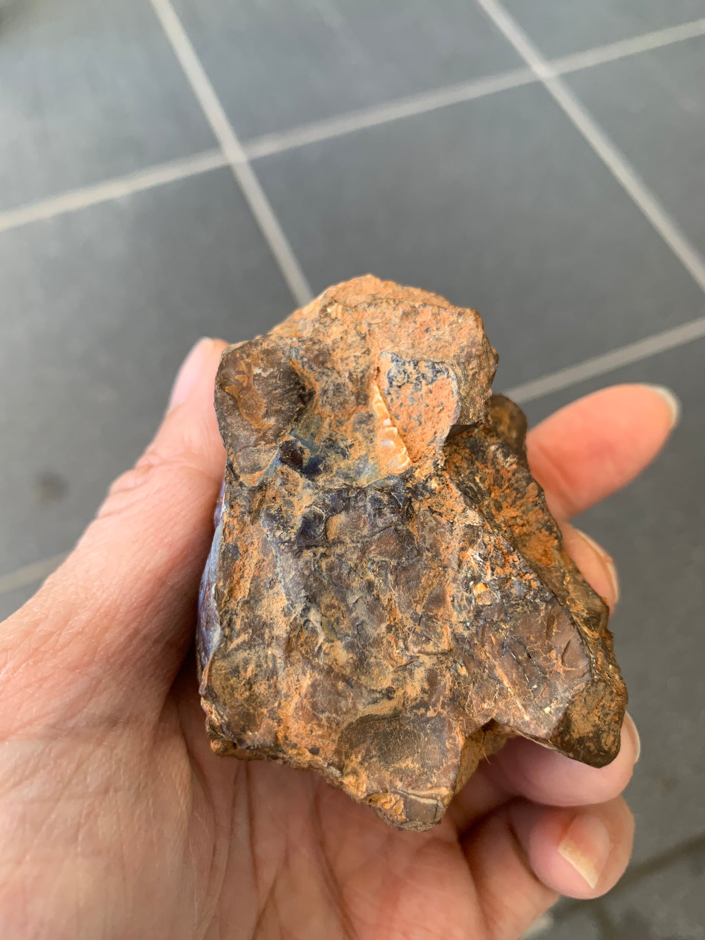 Dusky Blue. Rough Boulder Opal Rock. 184 Grams