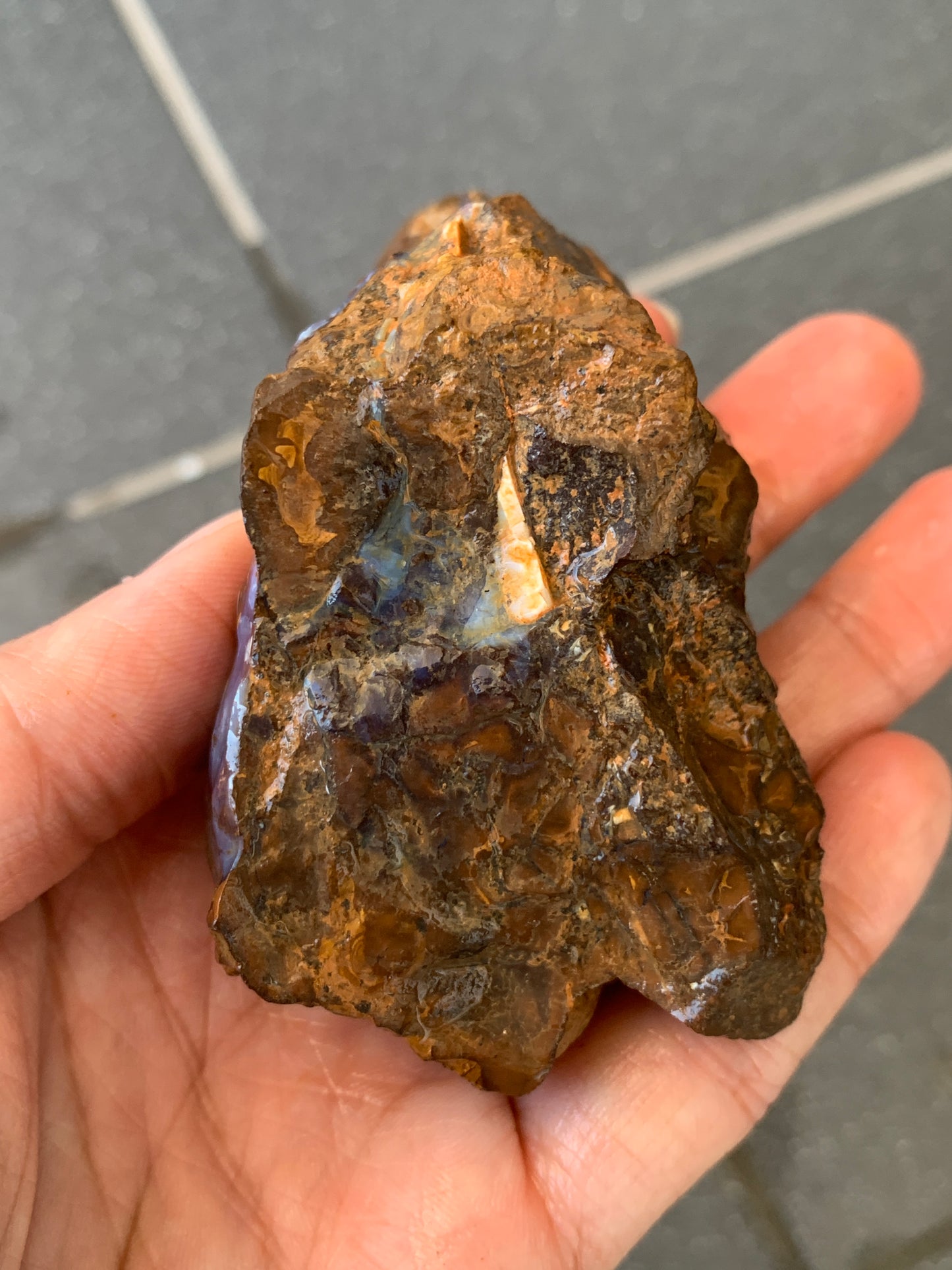 Dusky Blue. Rough Boulder Opal Rock. 184 Grams