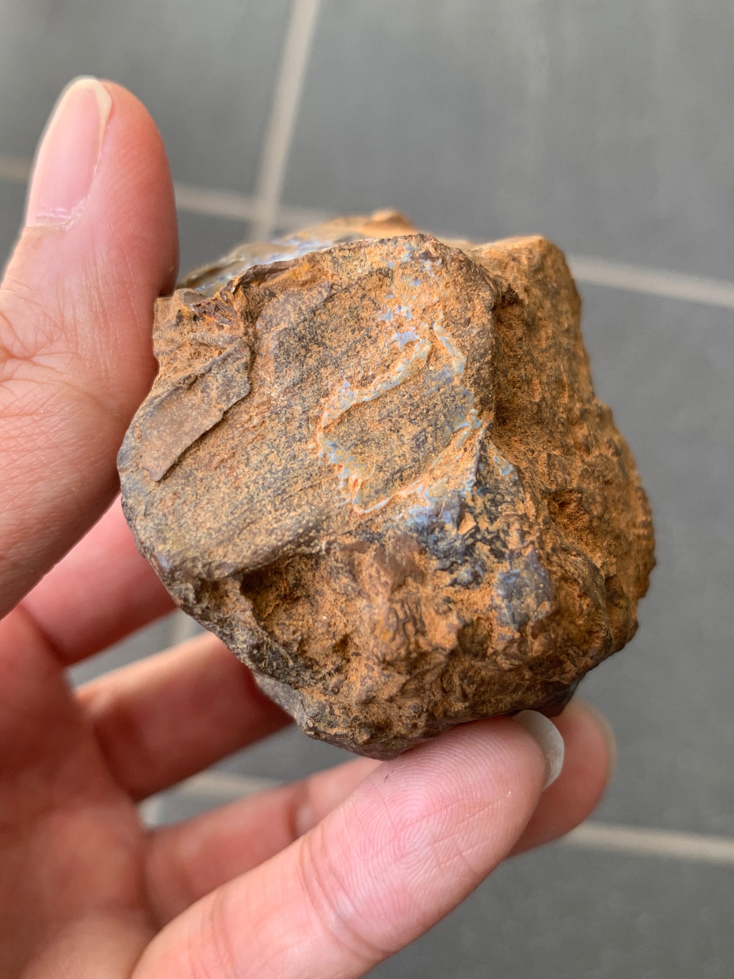 High Density Starter Rock. Rough Boulder Opal Rock. 150 Grams