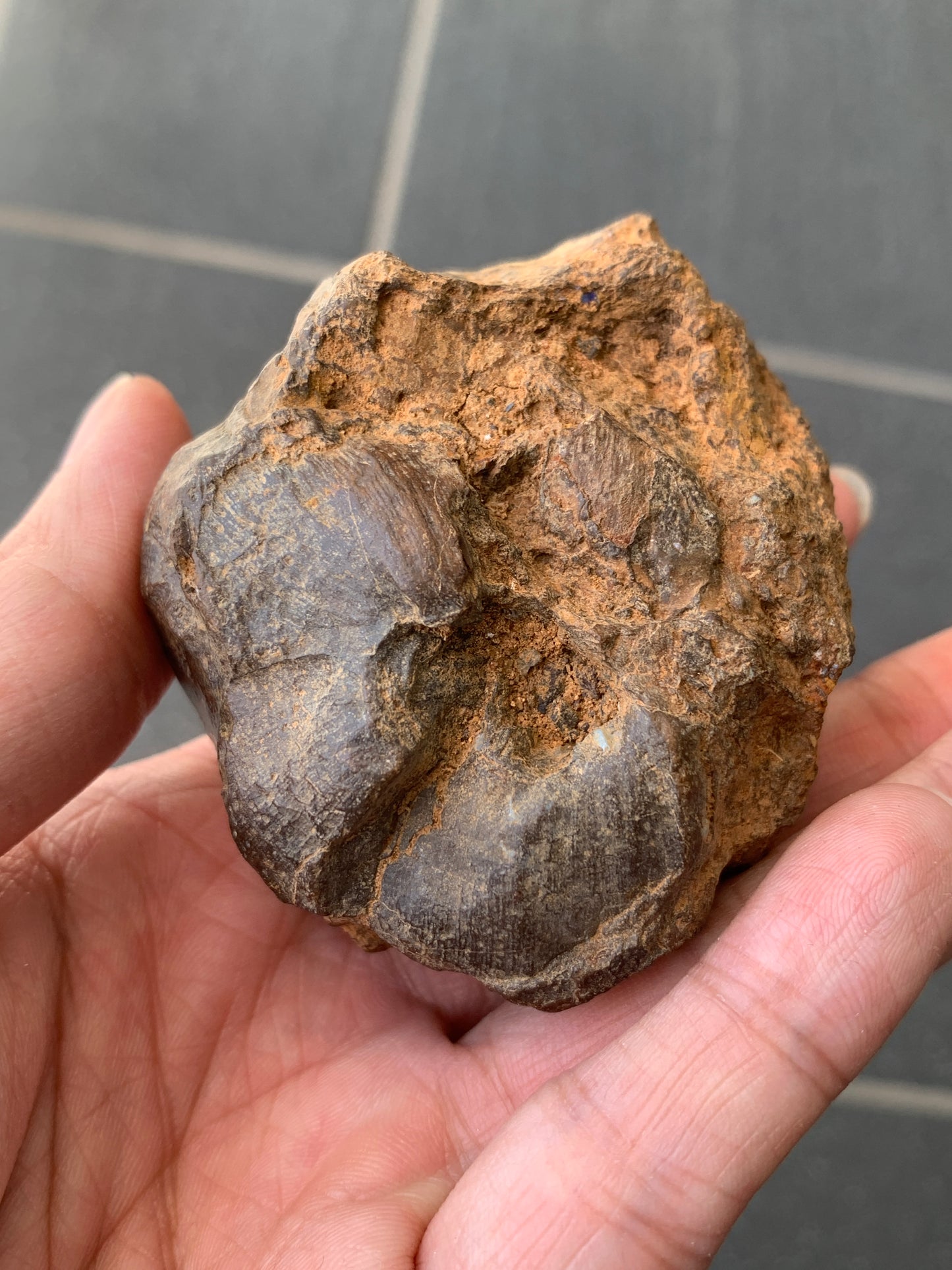 High Density Starter Rock. Rough Boulder Opal Rock. 150 Grams