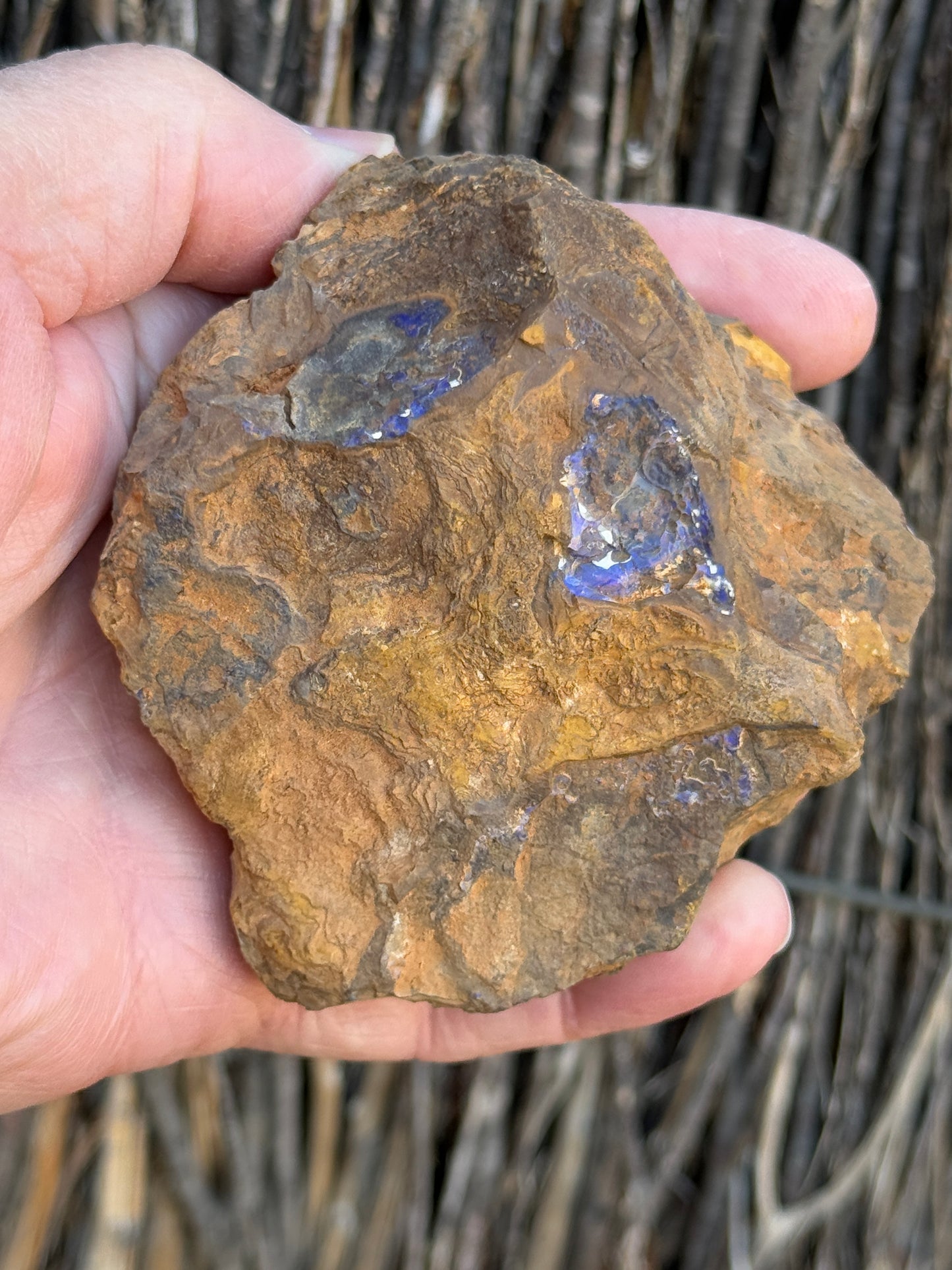 Colour Starter. Rough Boulder Opal Rock. 421 Grams