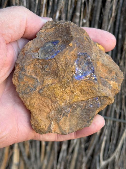 Colour Starter. Rough Boulder Opal Rock. 421 Grams