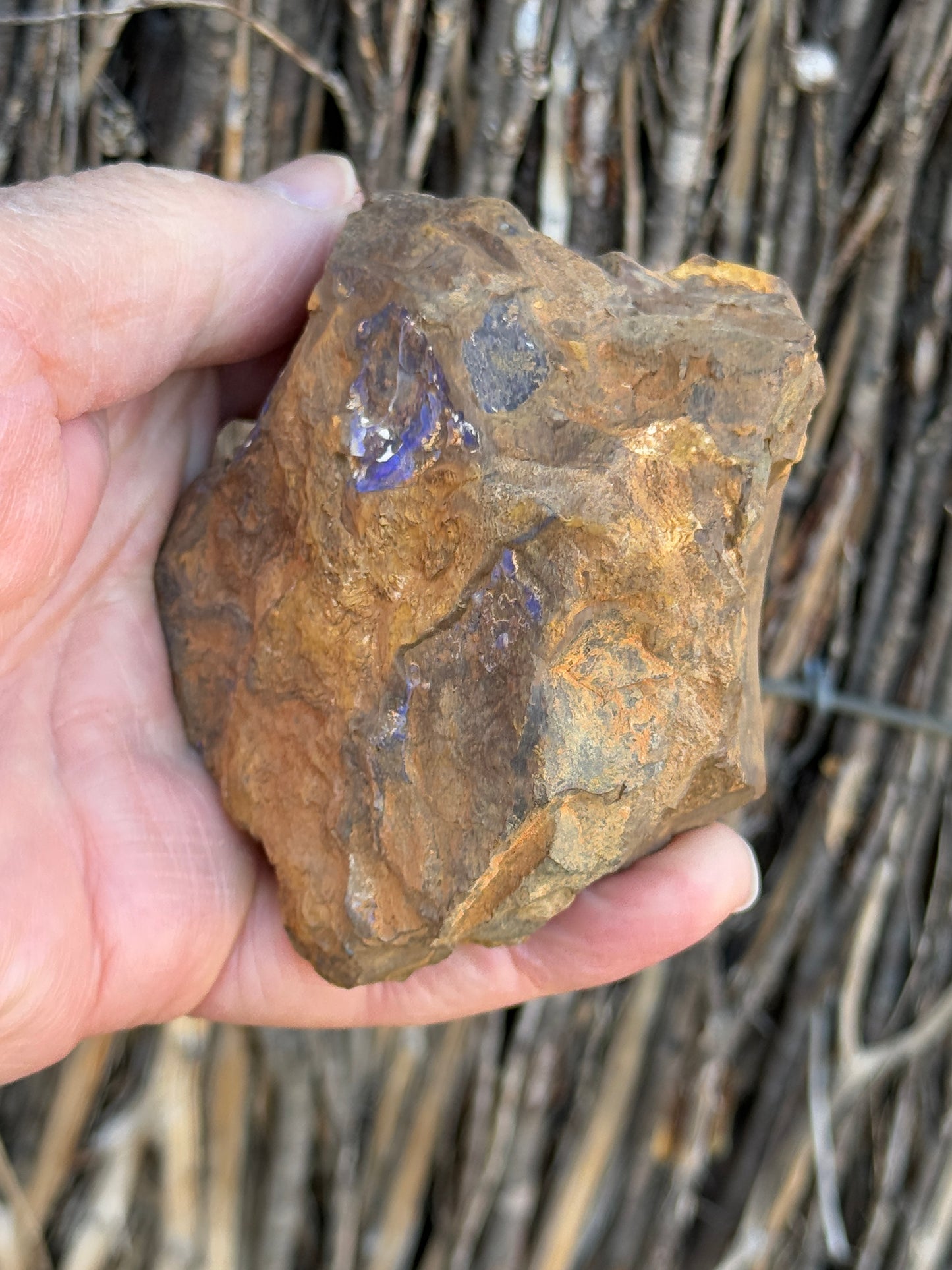Colour Starter. Rough Boulder Opal Rock. 421 Grams