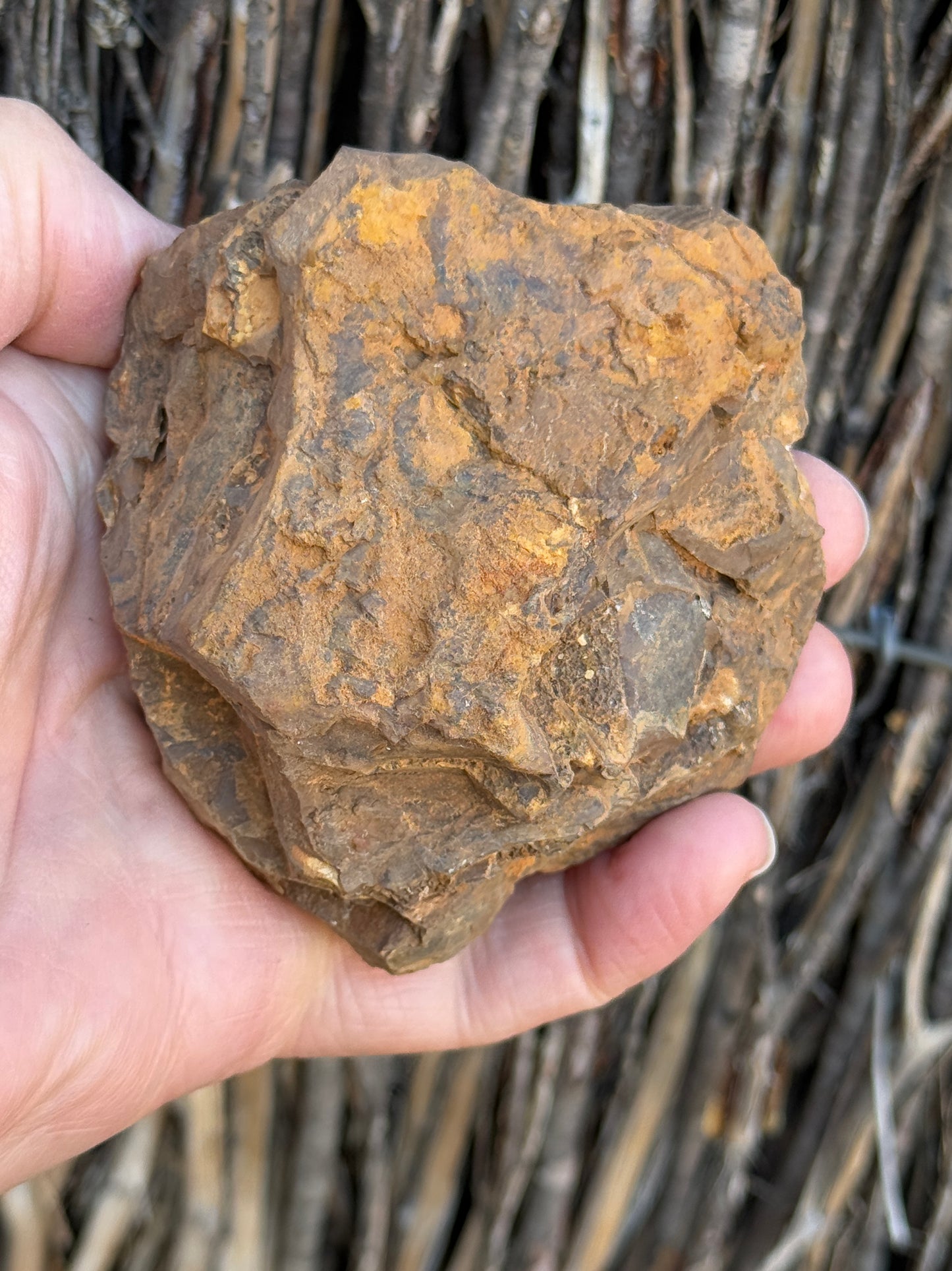 Colour Starter. Rough Boulder Opal Rock. 421 Grams