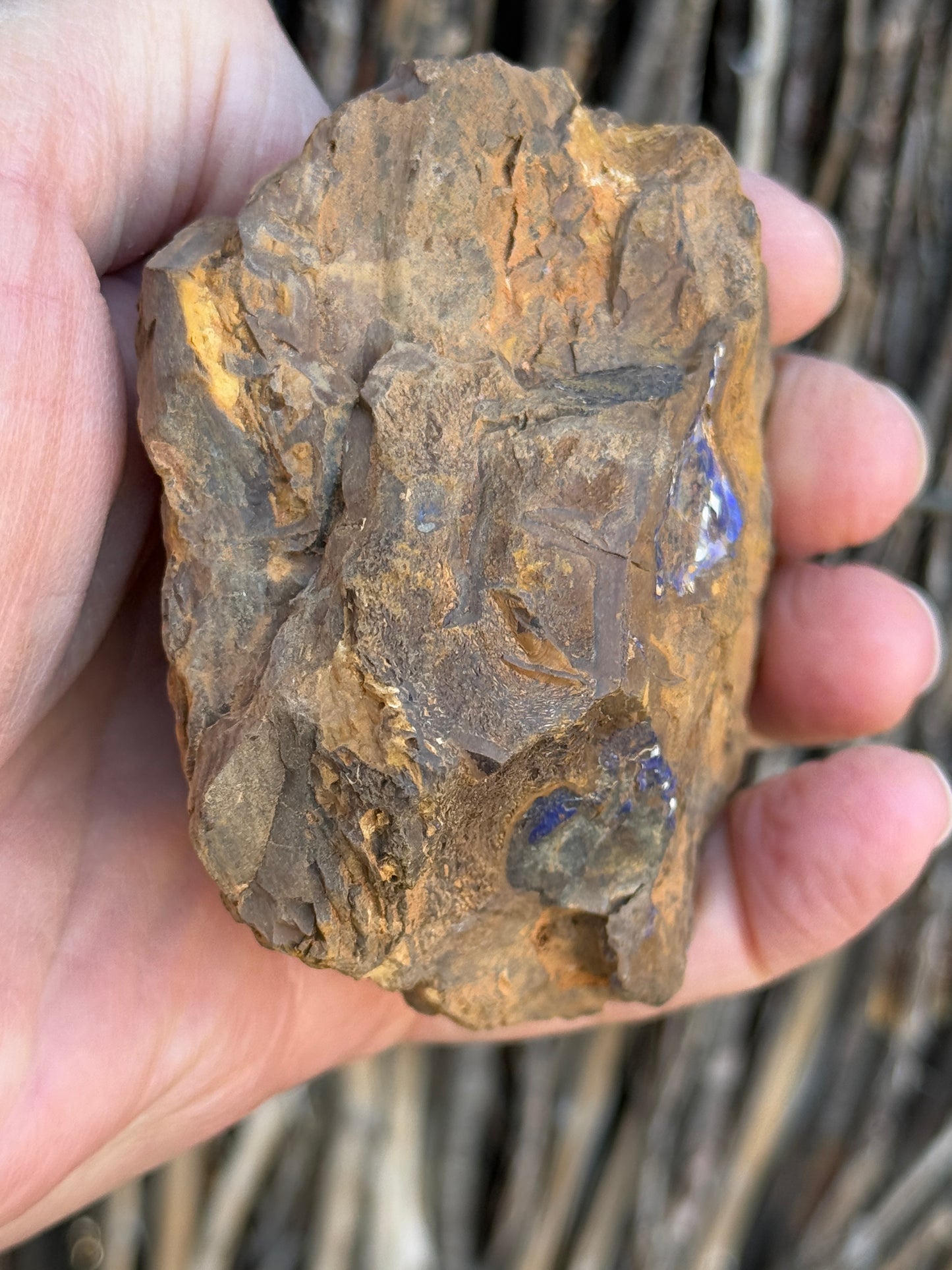 Colour Starter. Rough Boulder Opal Rock. 421 Grams