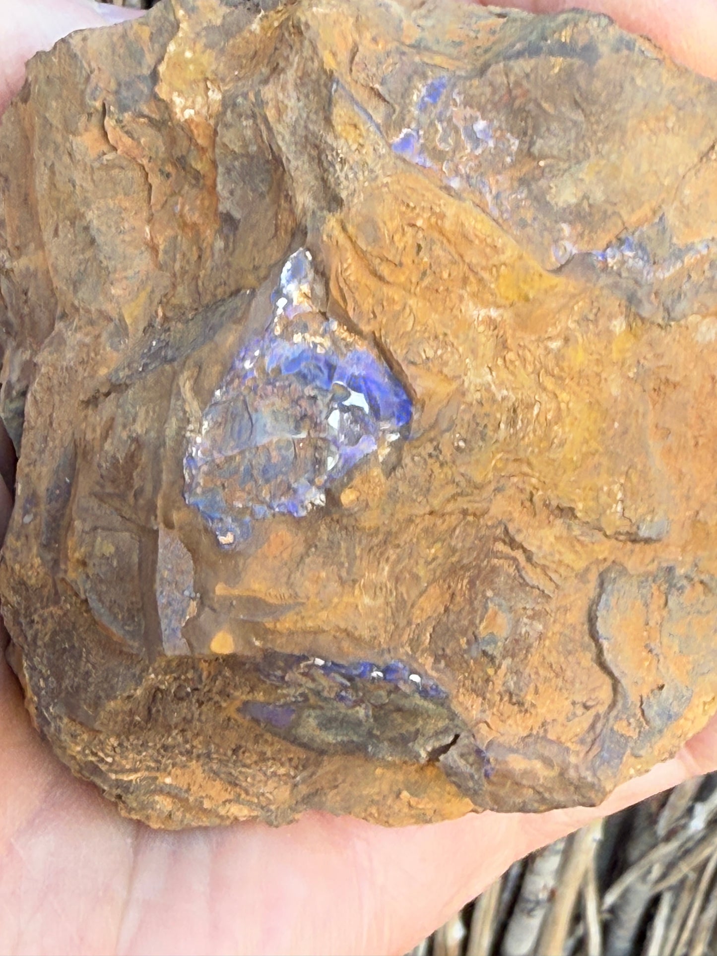 Colour Starter. Rough Boulder Opal Rock. 421 Grams