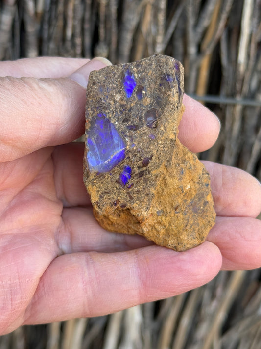 Super Stud. Rough Boulder Opal Rock. 79 Grams