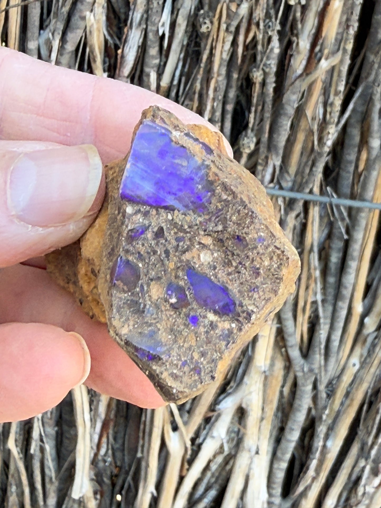 Super Stud. Rough Boulder Opal Rock. 79 Grams