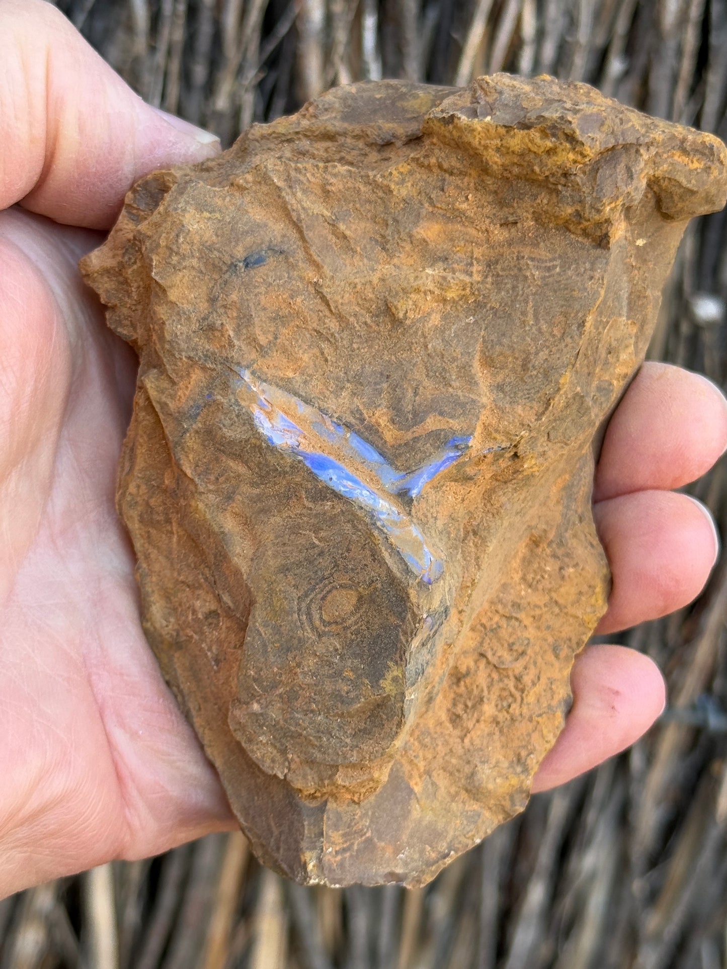 Double Seams. Rough Boulder Opal Rock. 526 Grams