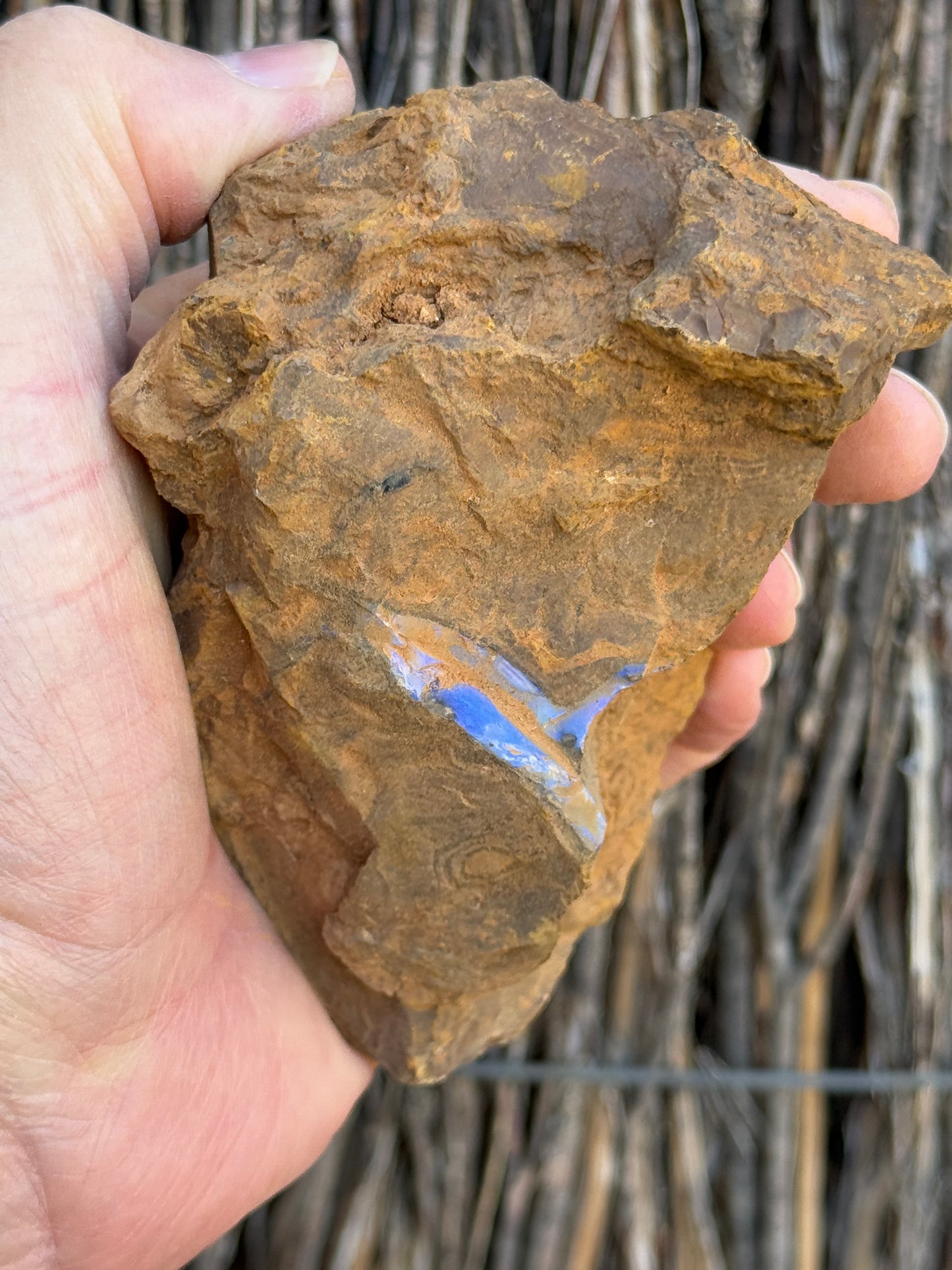 Double Seams. Rough Boulder Opal Rock. 526 Grams