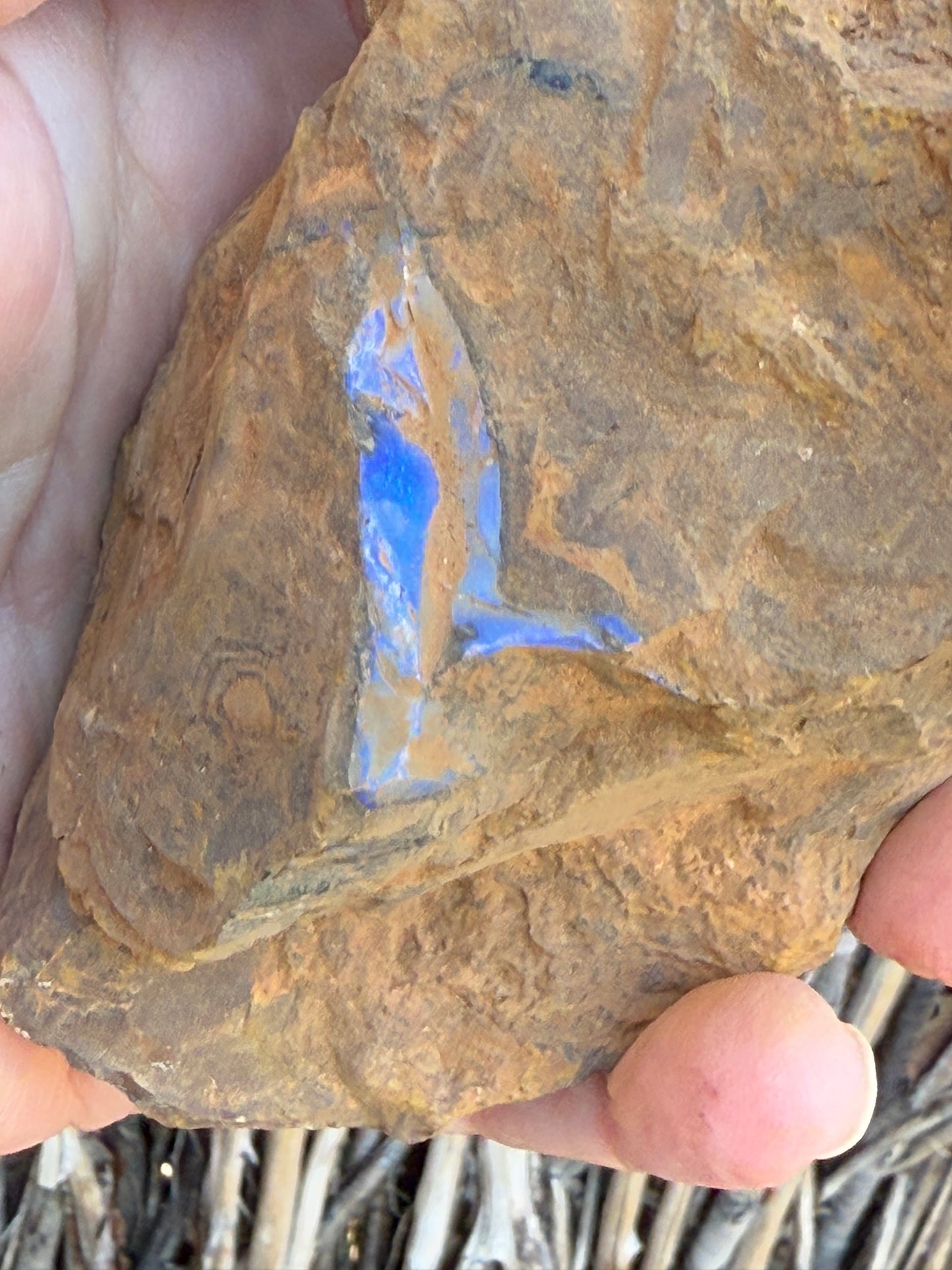 Double Seams. Rough Boulder Opal Rock. 526 Grams