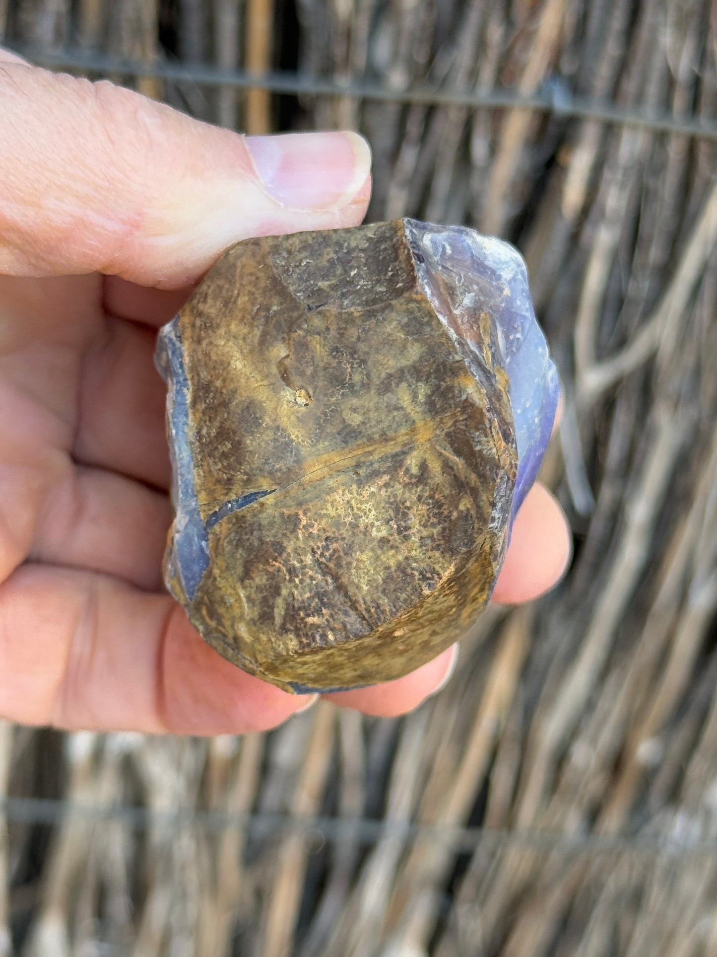 Opal All-Rounder. Rough Boulder Opal Rock. 281 Grams
