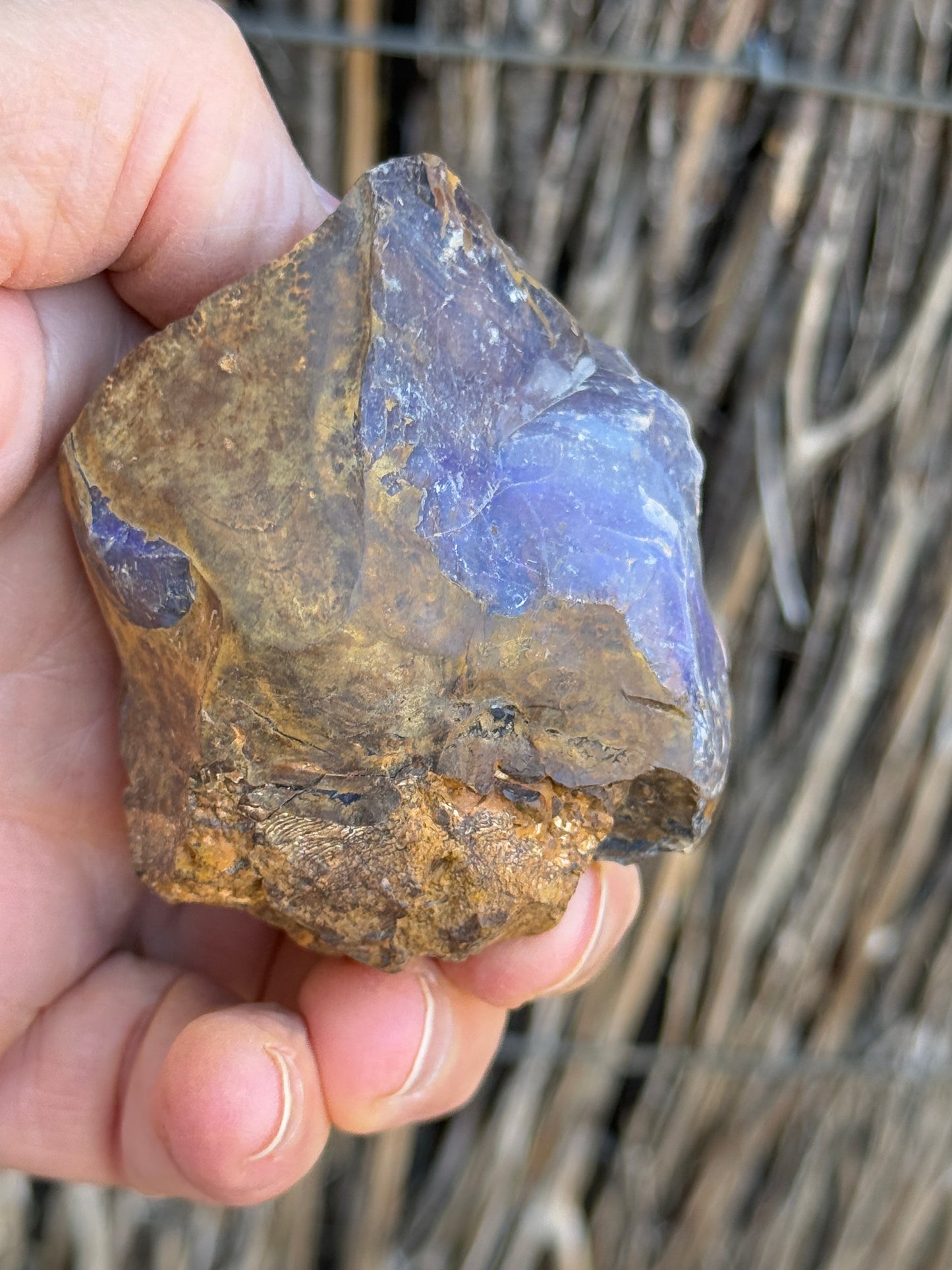 Opal All-Rounder. Rough Boulder Opal Rock. 281 Grams