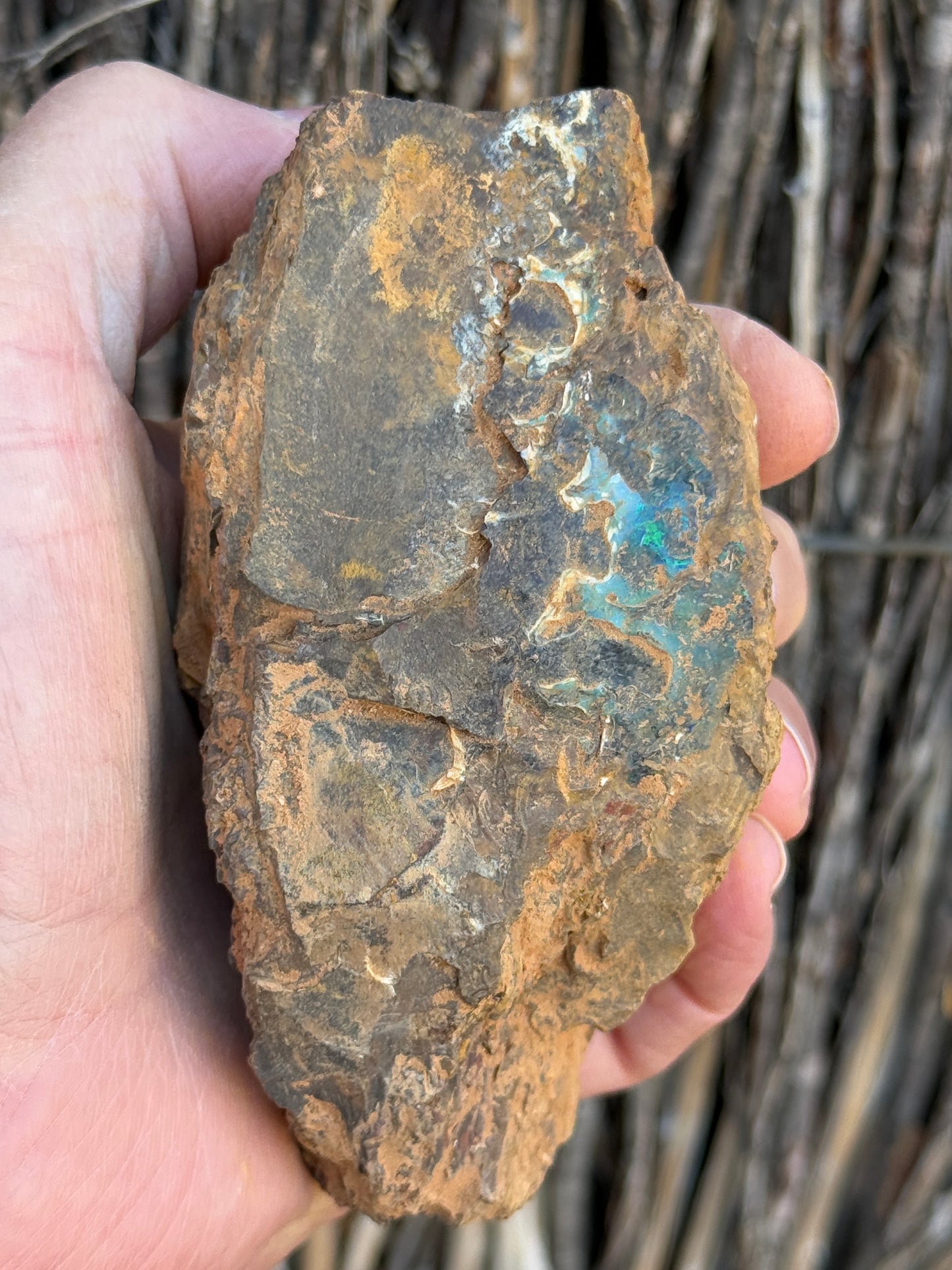 Green Waves. Rough Boulder Opal Rock. 589 Grams