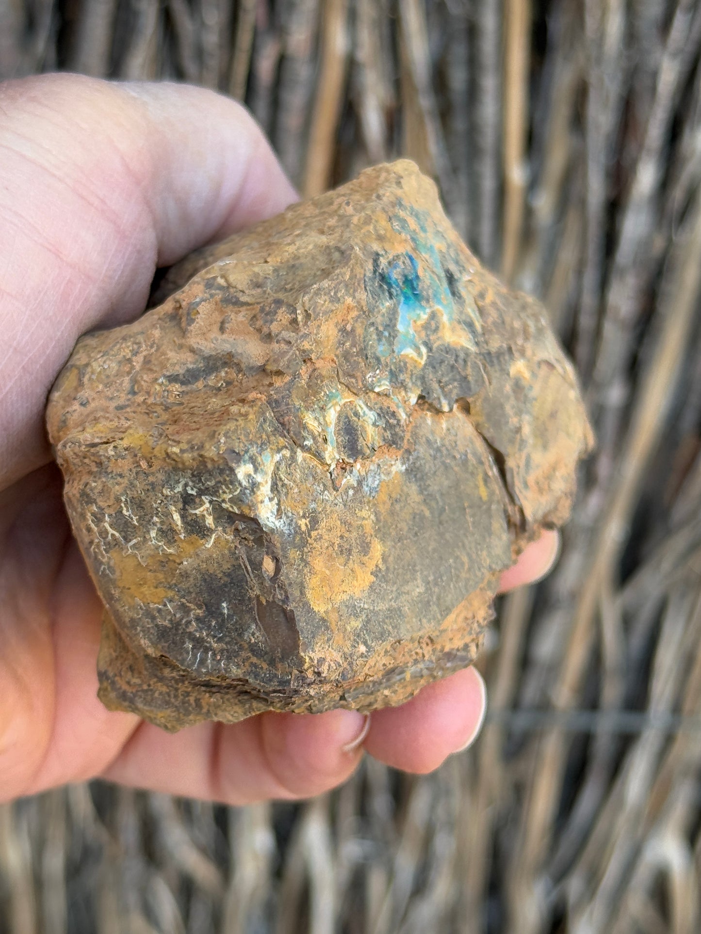 Green Waves. Rough Boulder Opal Rock. 589 Grams