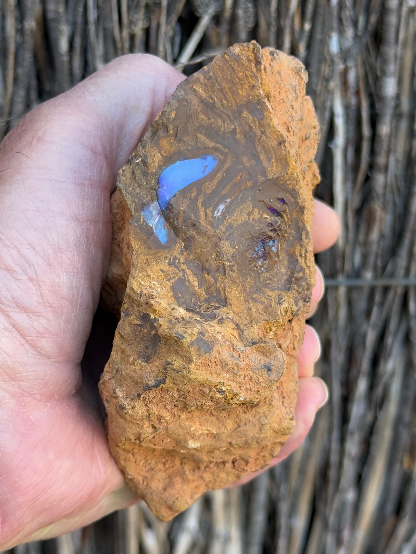 Piping Blue. Rough Boulder Opal Rock. 834 Grams