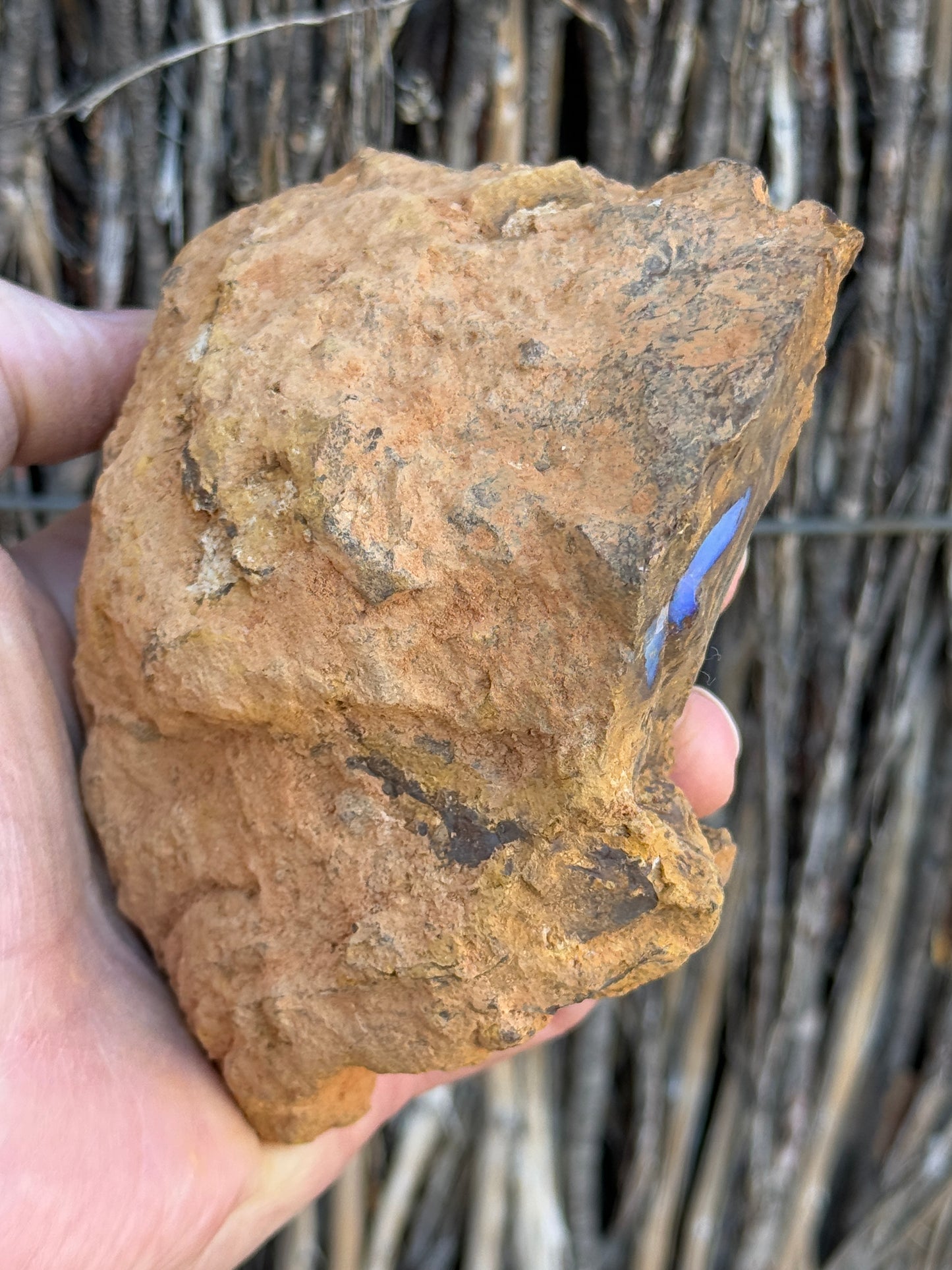 Piping Blue. Rough Boulder Opal Rock. 834 Grams