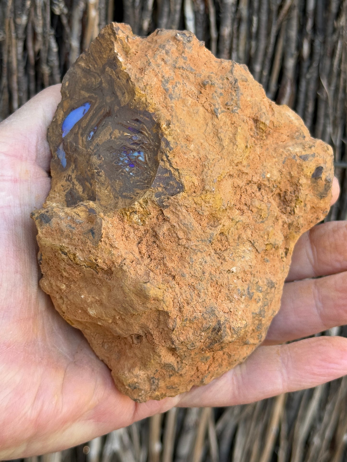 Piping Blue. Rough Boulder Opal Rock. 834 Grams