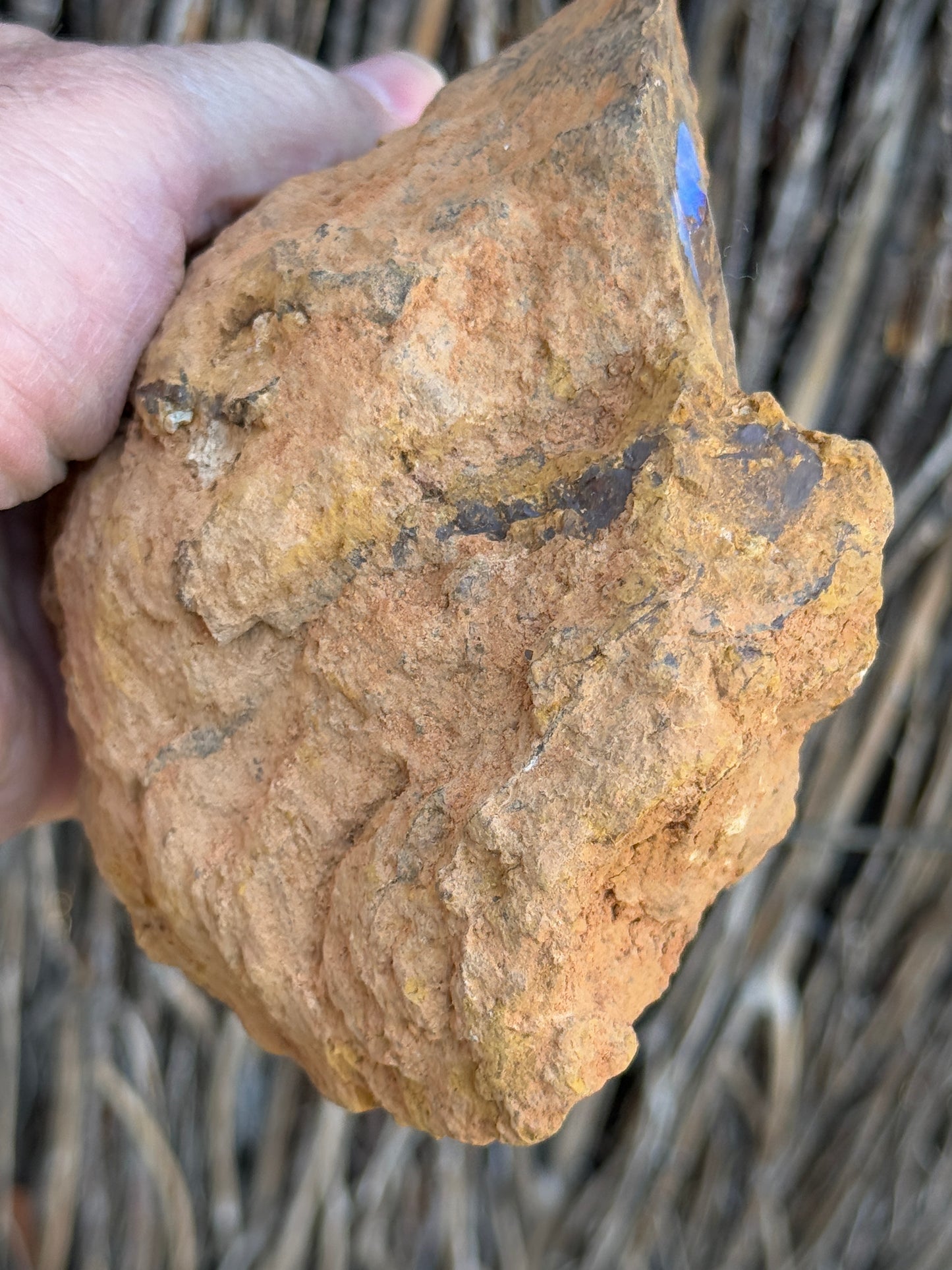 Piping Blue. Rough Boulder Opal Rock. 834 Grams